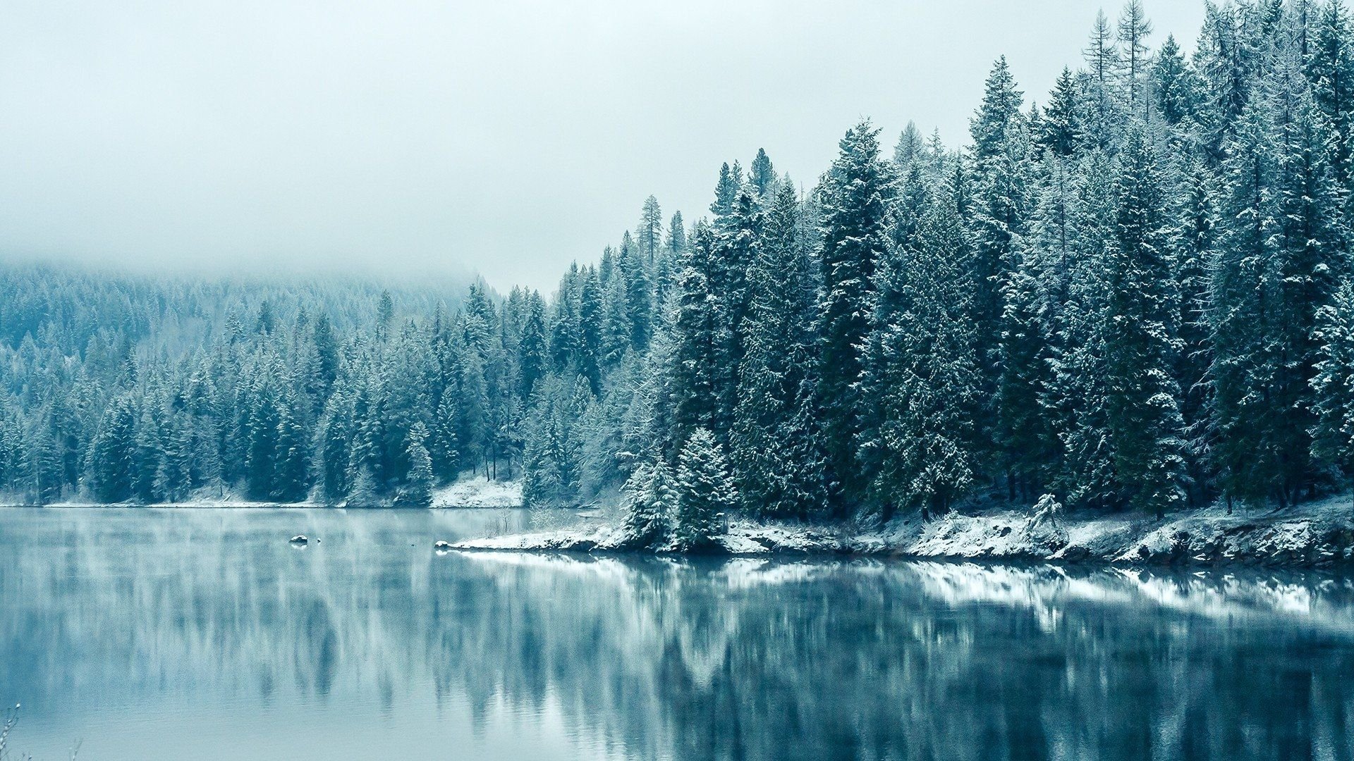 Winter Aesthetic Wallpaper for Desktop