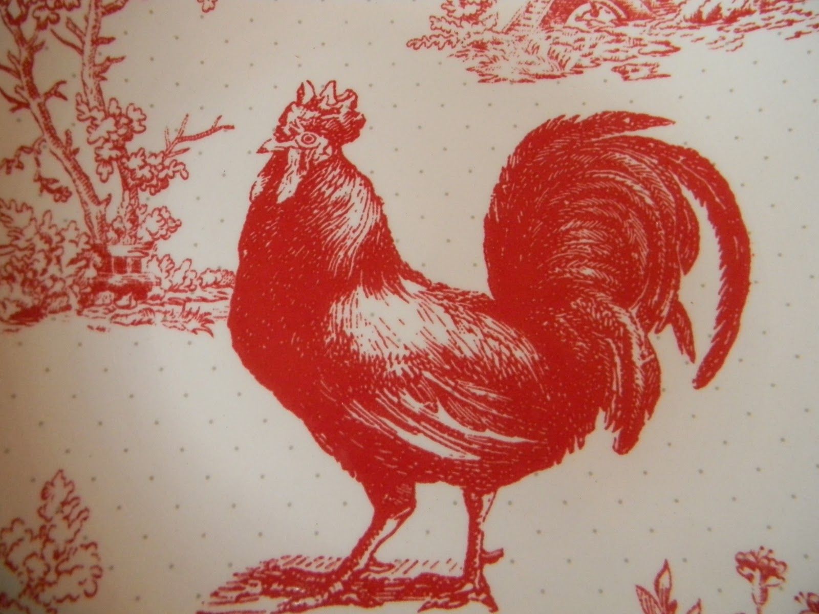 Red Chicken Wallpaper