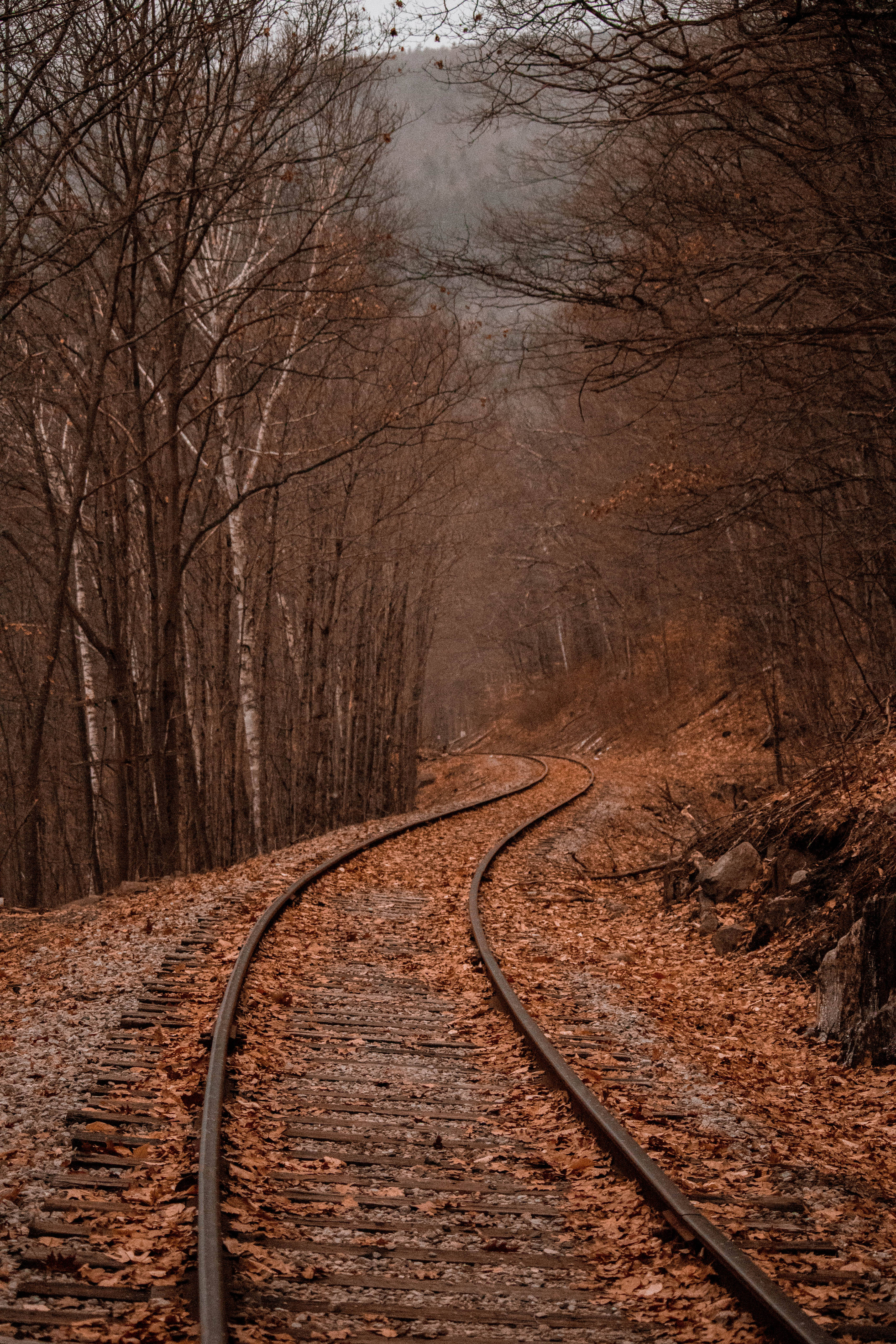 Download Train Track In Autumn Wallpaper