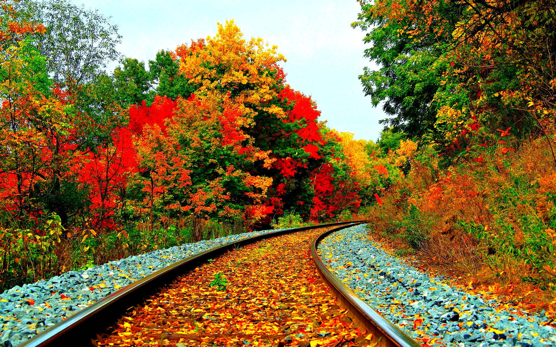 Download Autumn Season Railway Wallpaper