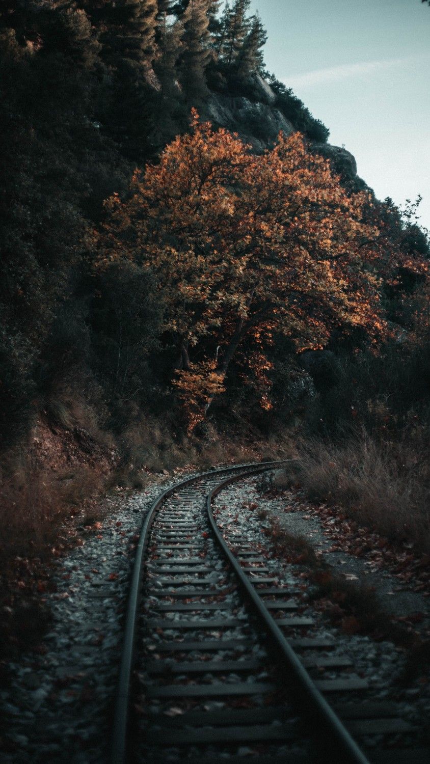 Railway background. Autumn phone wallpaper, Autumn photography, Lightroom presets