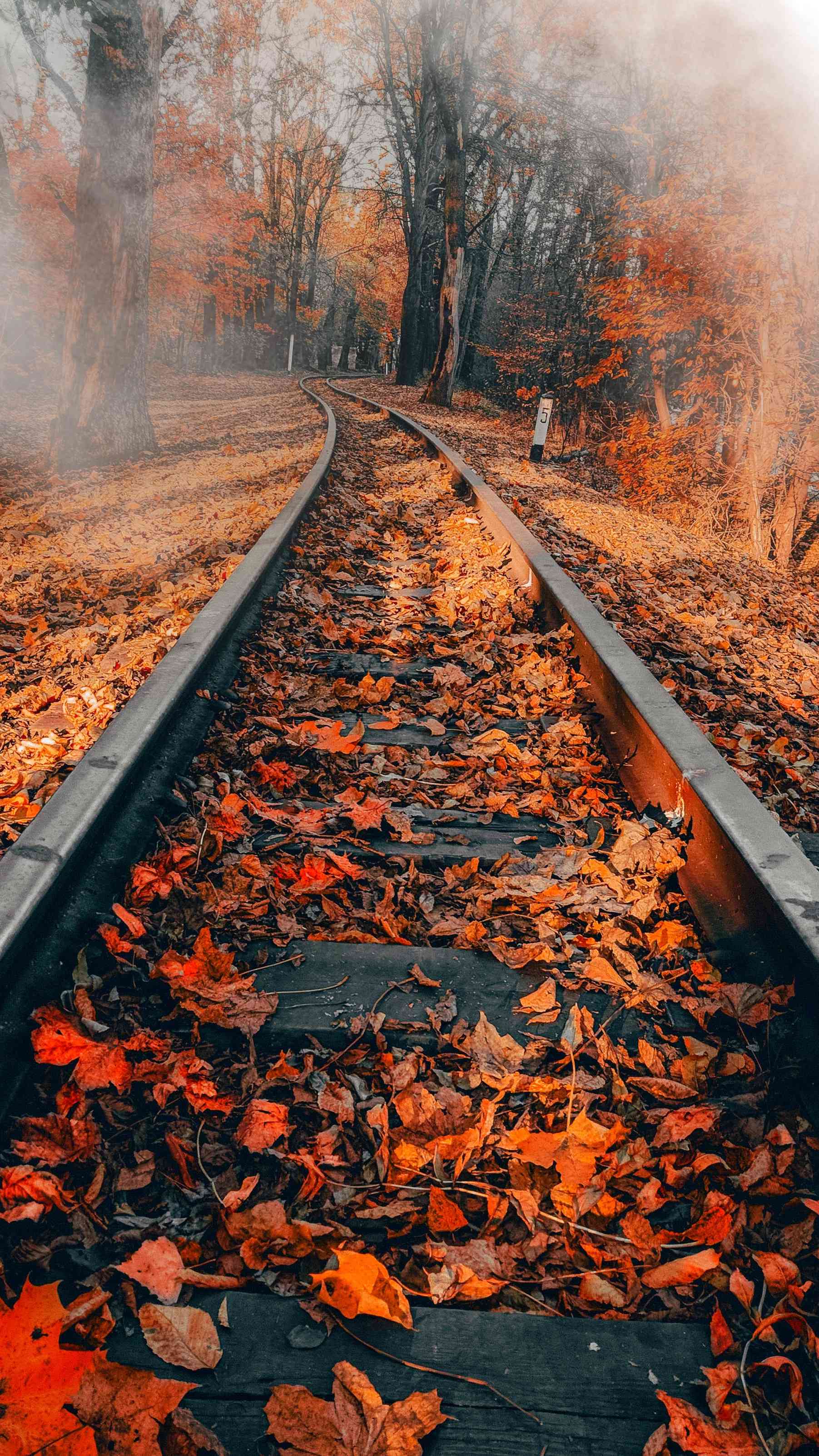 Railway Autumn IPhone Wallpaper Wallpaper, iPhone Wallpaper