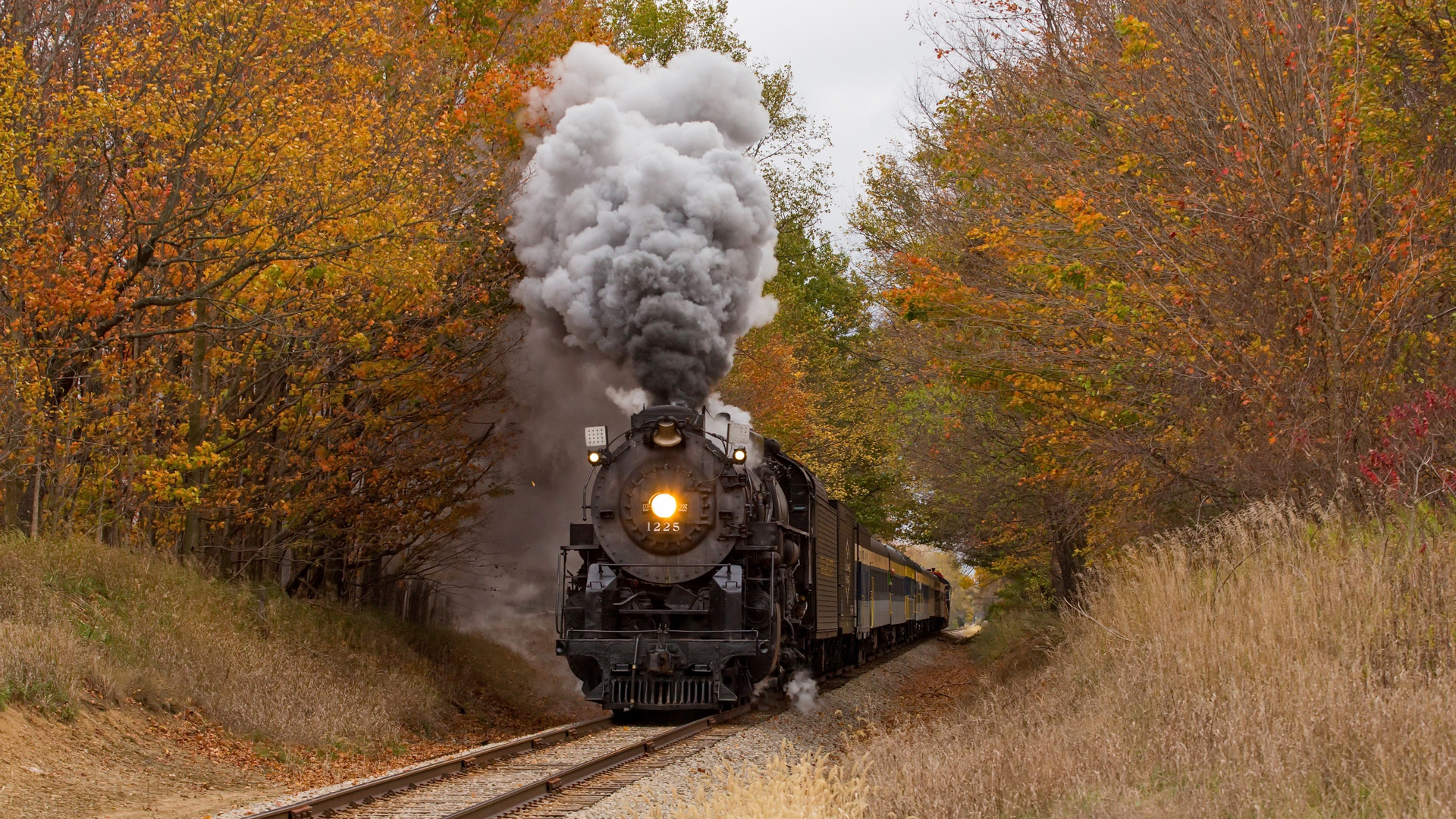 Download Locomotive, Old, Train, Forest, Autumn Wallpaper in 1920x1080 Resolution