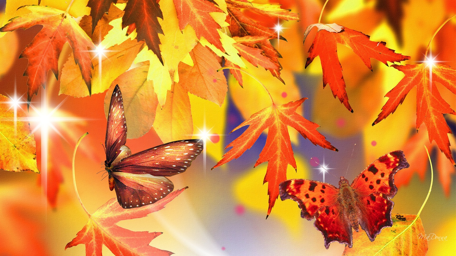 Autumn Leaves and Butterflies