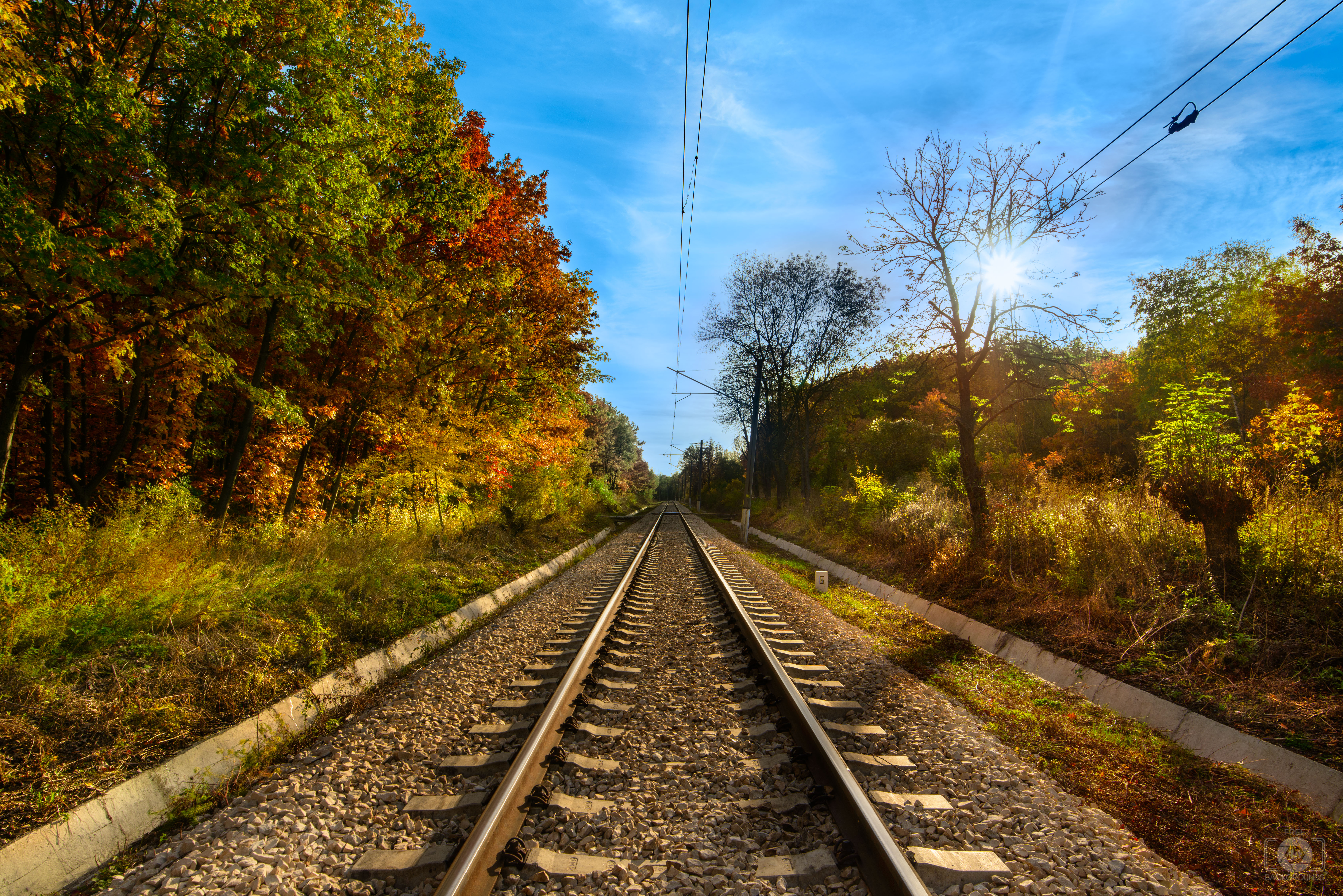 Autumn Railway Background Quality Free Background