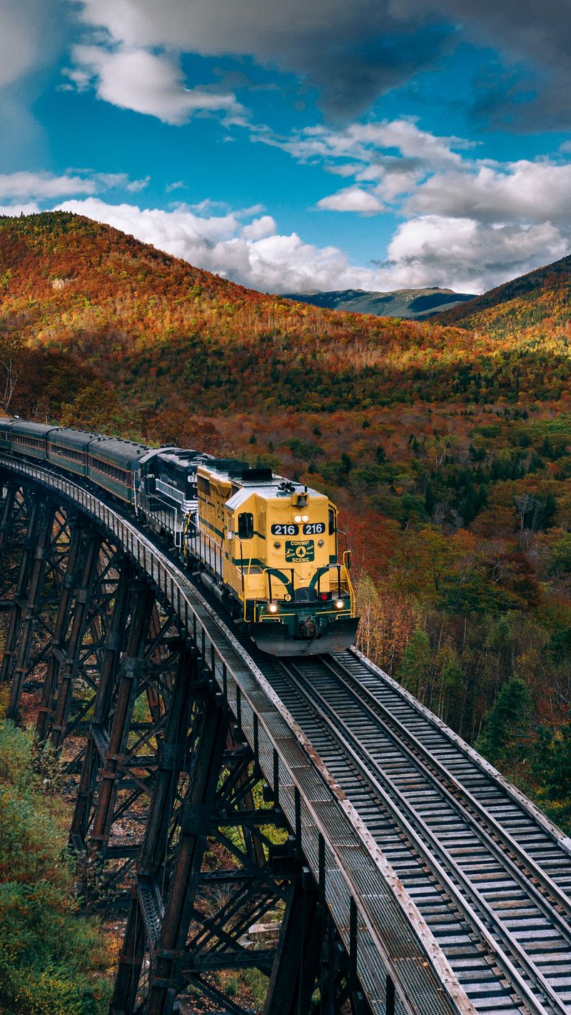 Download Wallpaper 800x1420 Train, Railroad, Autumn, Trees Iphone Se 5s 5c 5 For Parallax HD Background