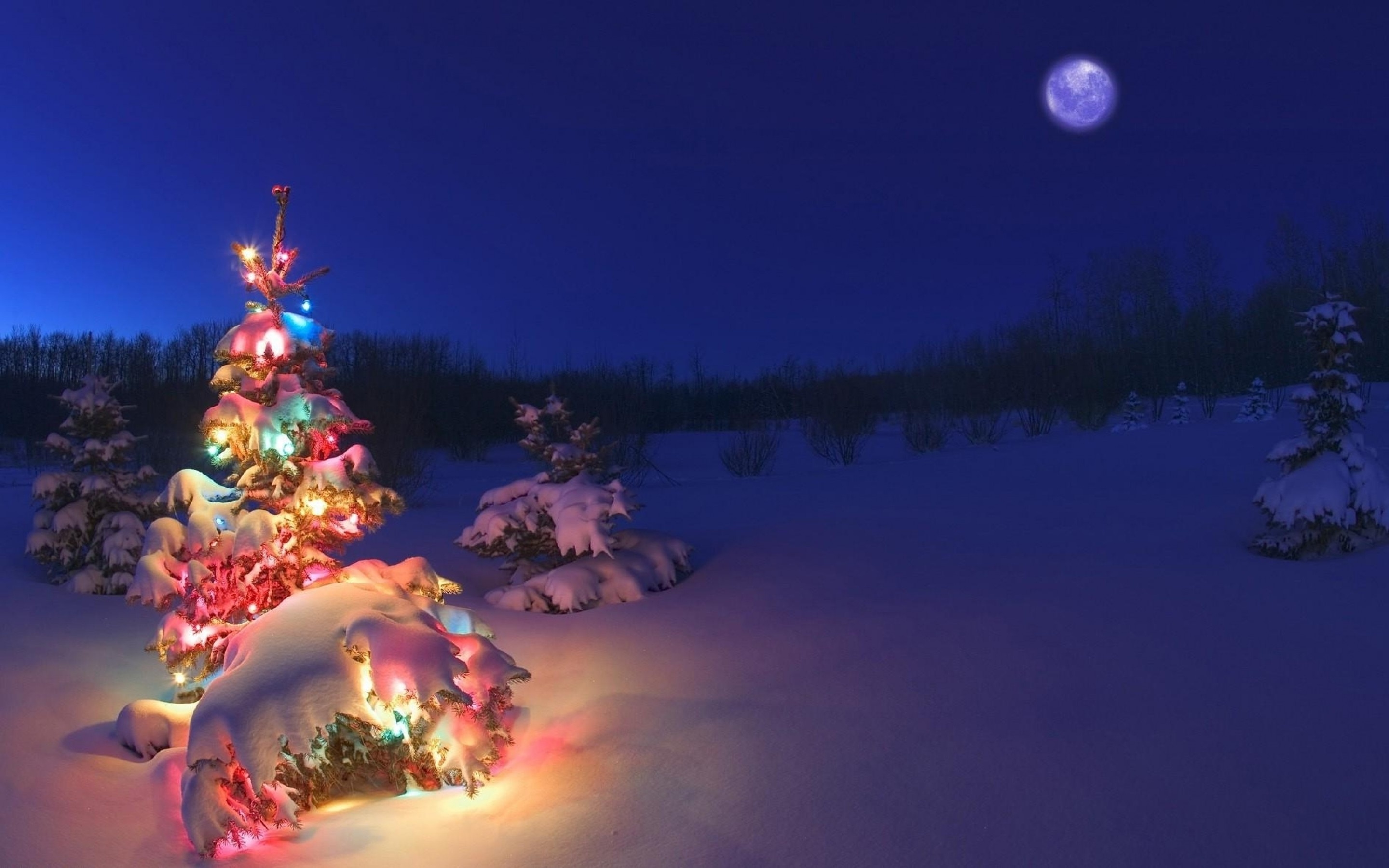 Winter Christmas Tree Wallpaper HD / Desktop and Mobile Background