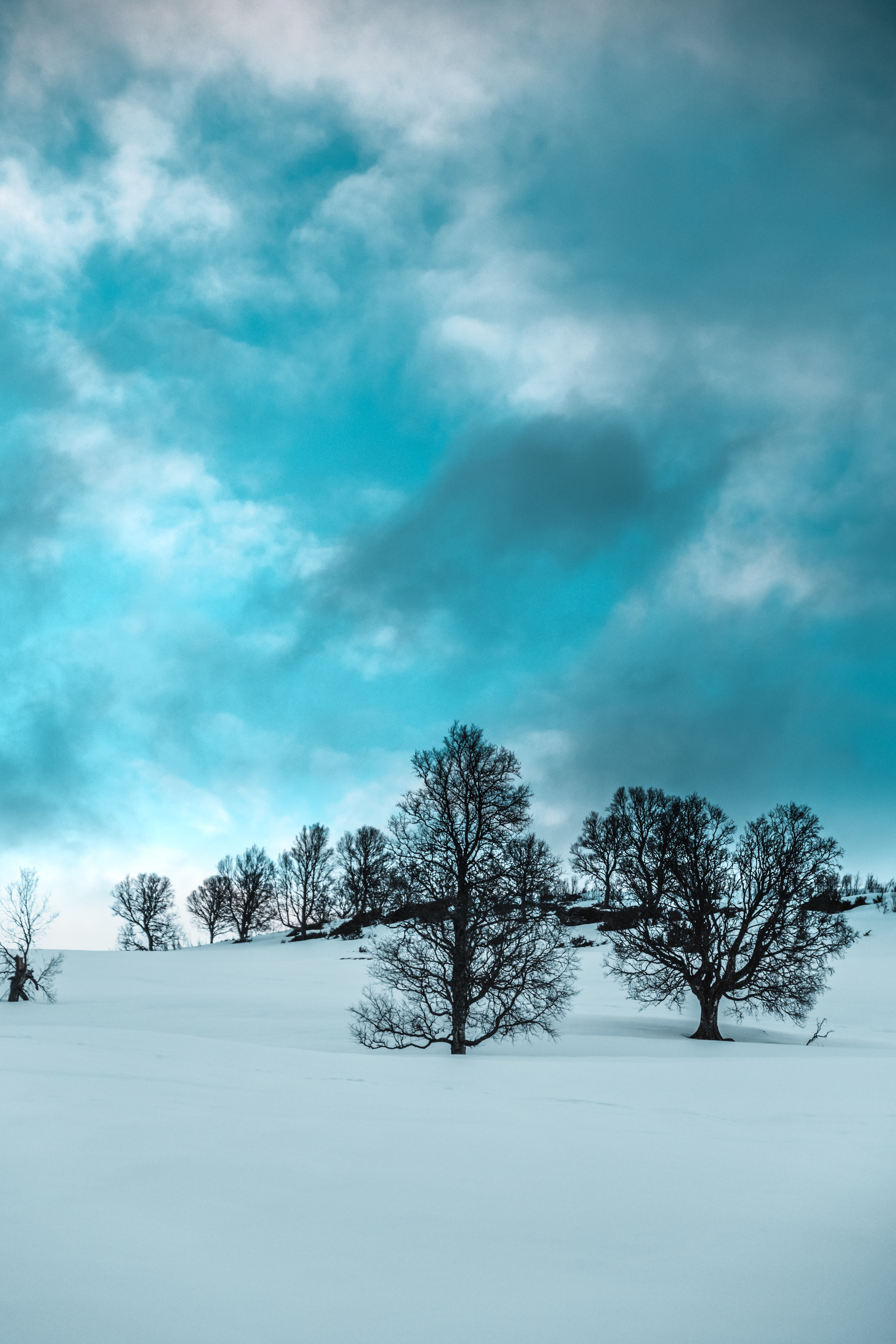 Winter Scenes Photo, Download Free Winter Scenes & HD Image