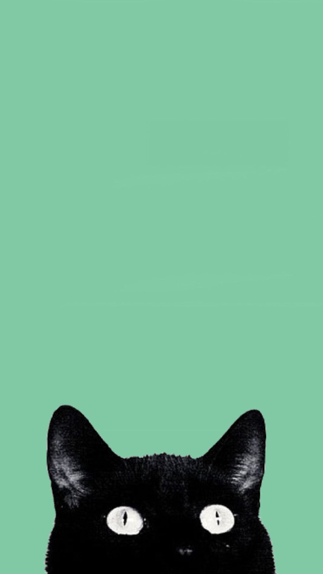 Green Cats Wallpapers - Wallpaper Cave