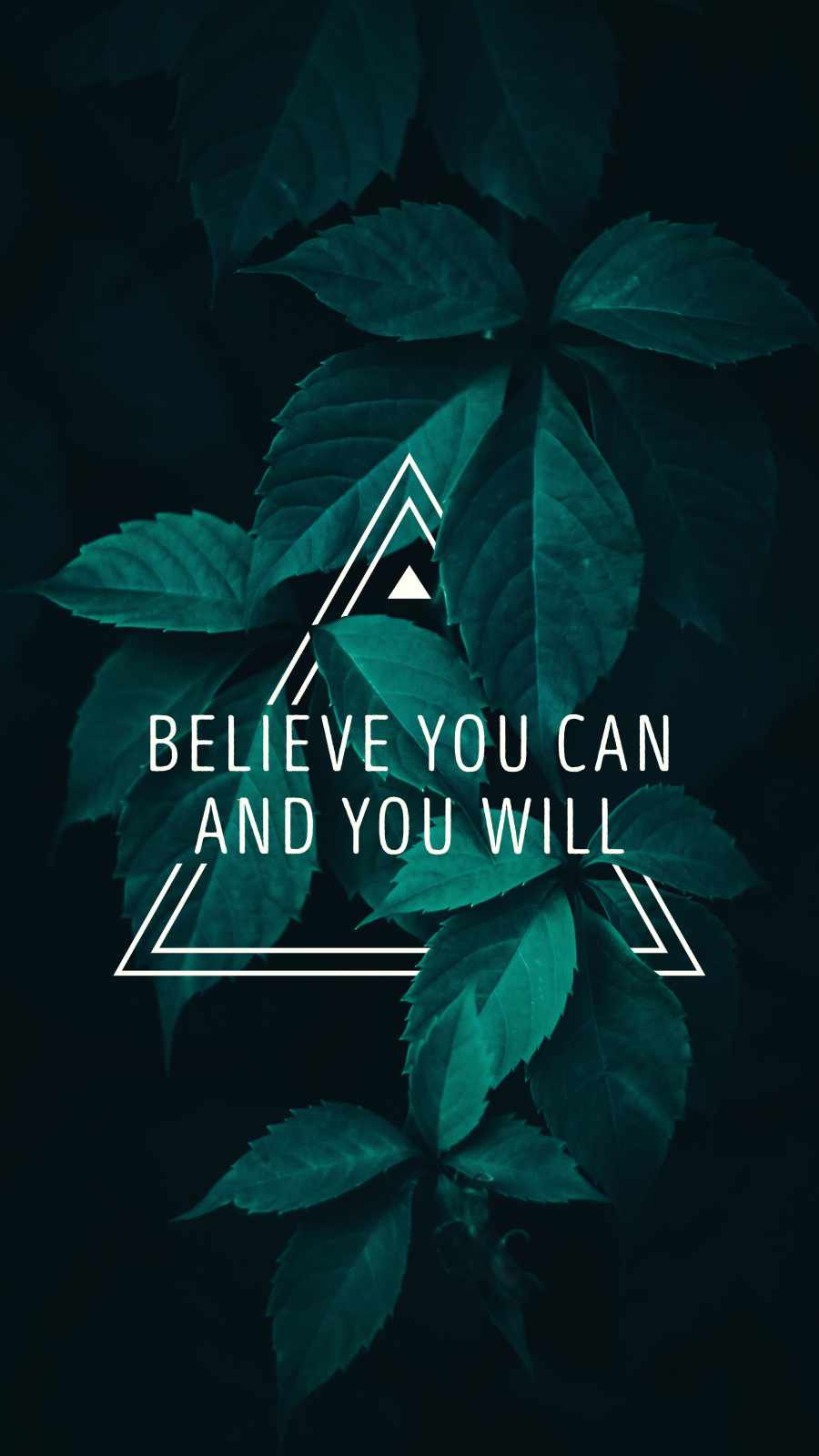 Believe You can and You Will