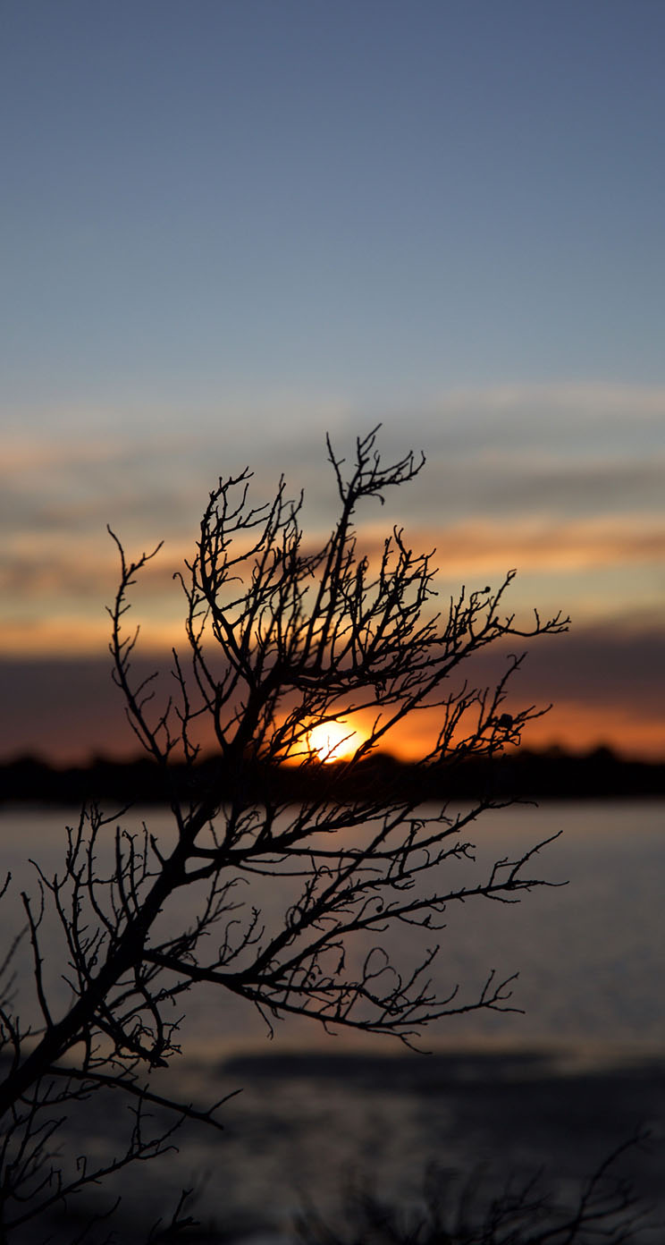 The iPhone Wallpaper Winter Sunset