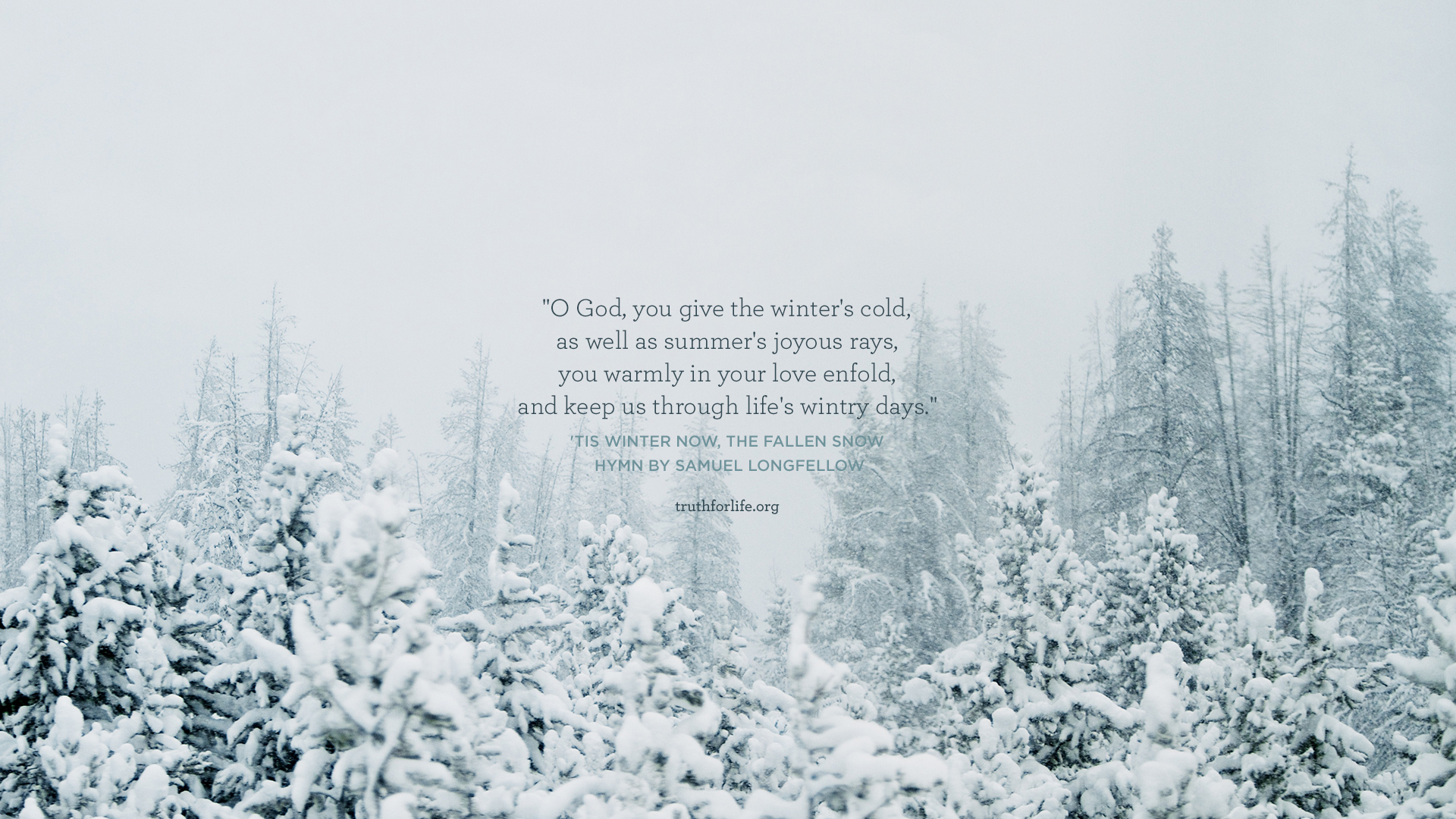 Winter Hymn: Wallpaper