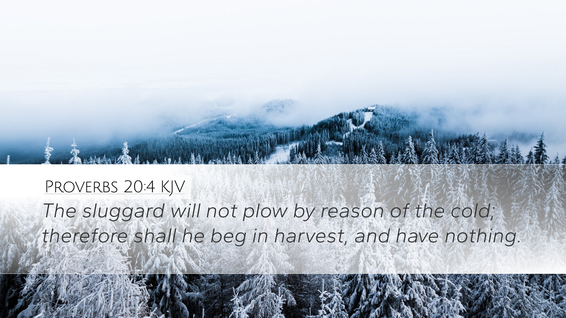 Proverbs 20:4 KJV Desktop Wallpaper sluggard will not plow by reason of the cold;