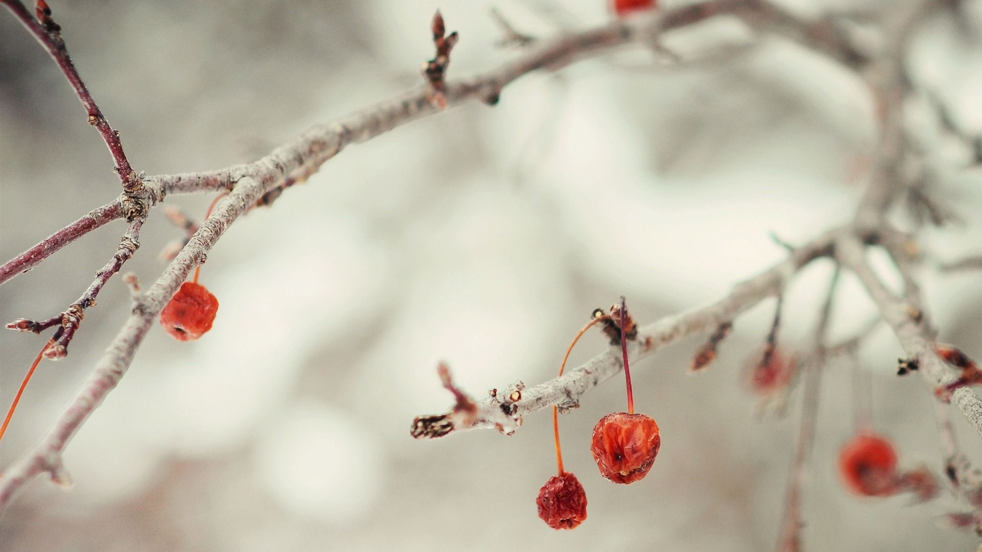 Cute Winter Wallpaper