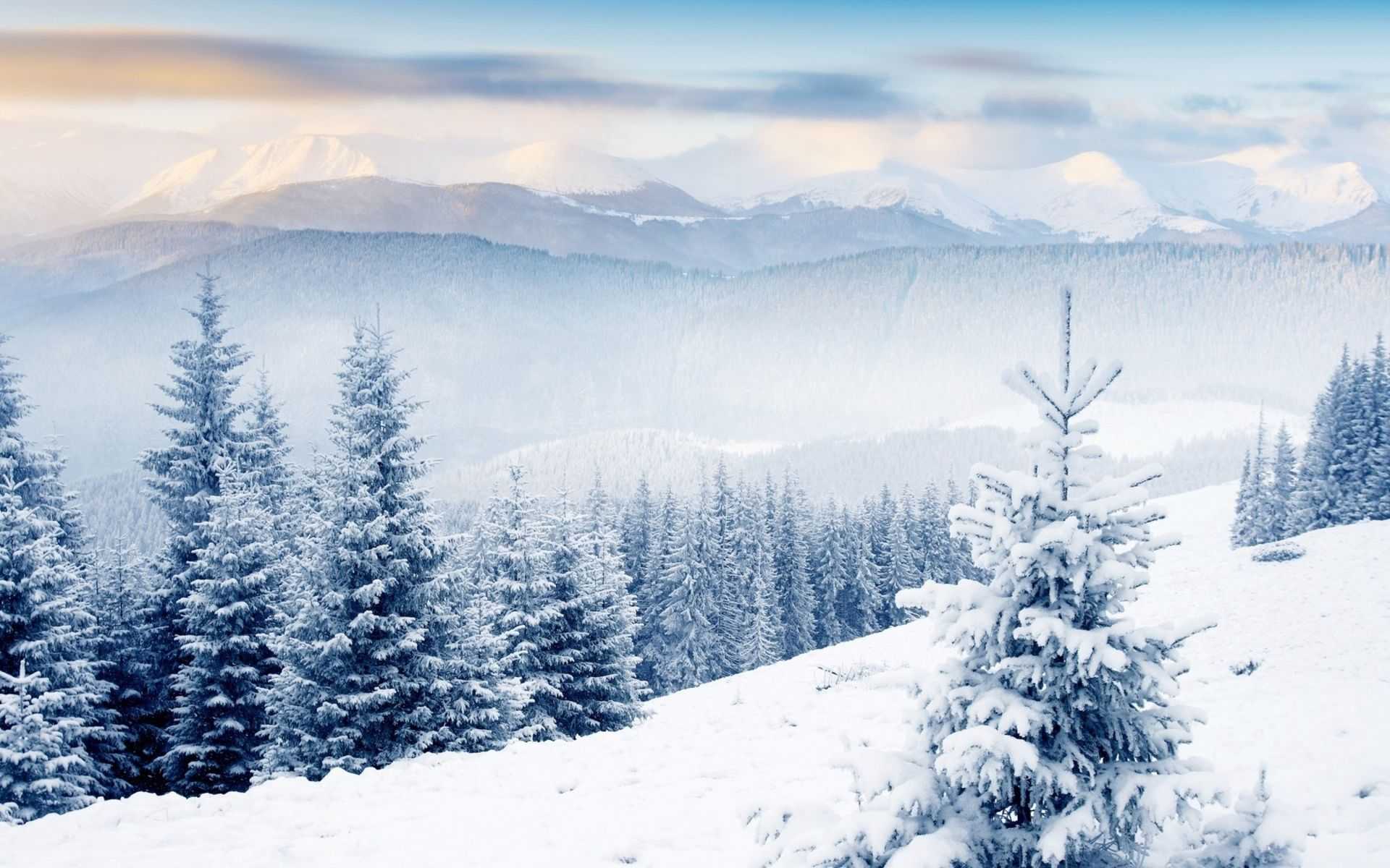 Winter Background Wallpaper