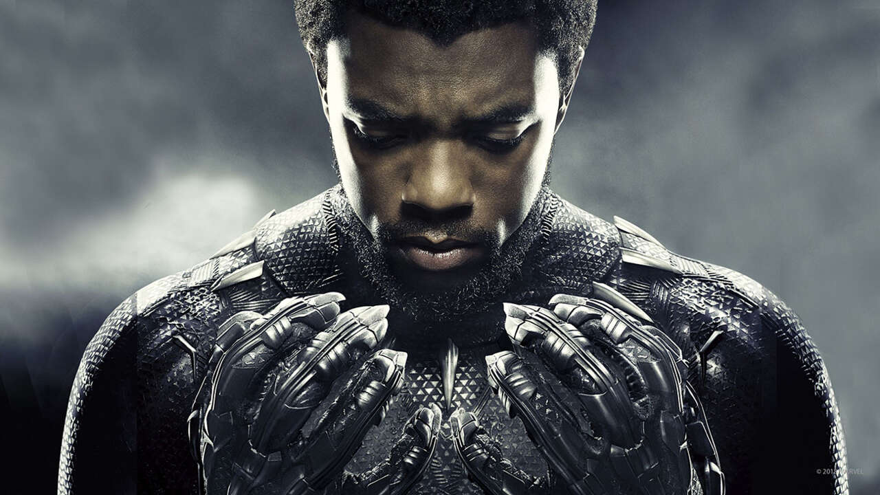 Who Will Be The New Black Panther In Wakanda Forever?
