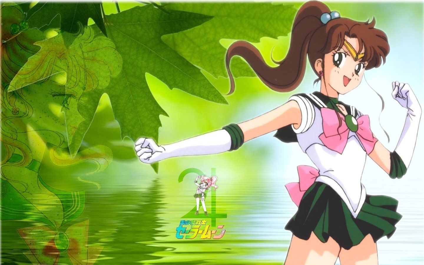 Sailor Moon Sailor Jupiter Wallpapers - Wallpaper Cave