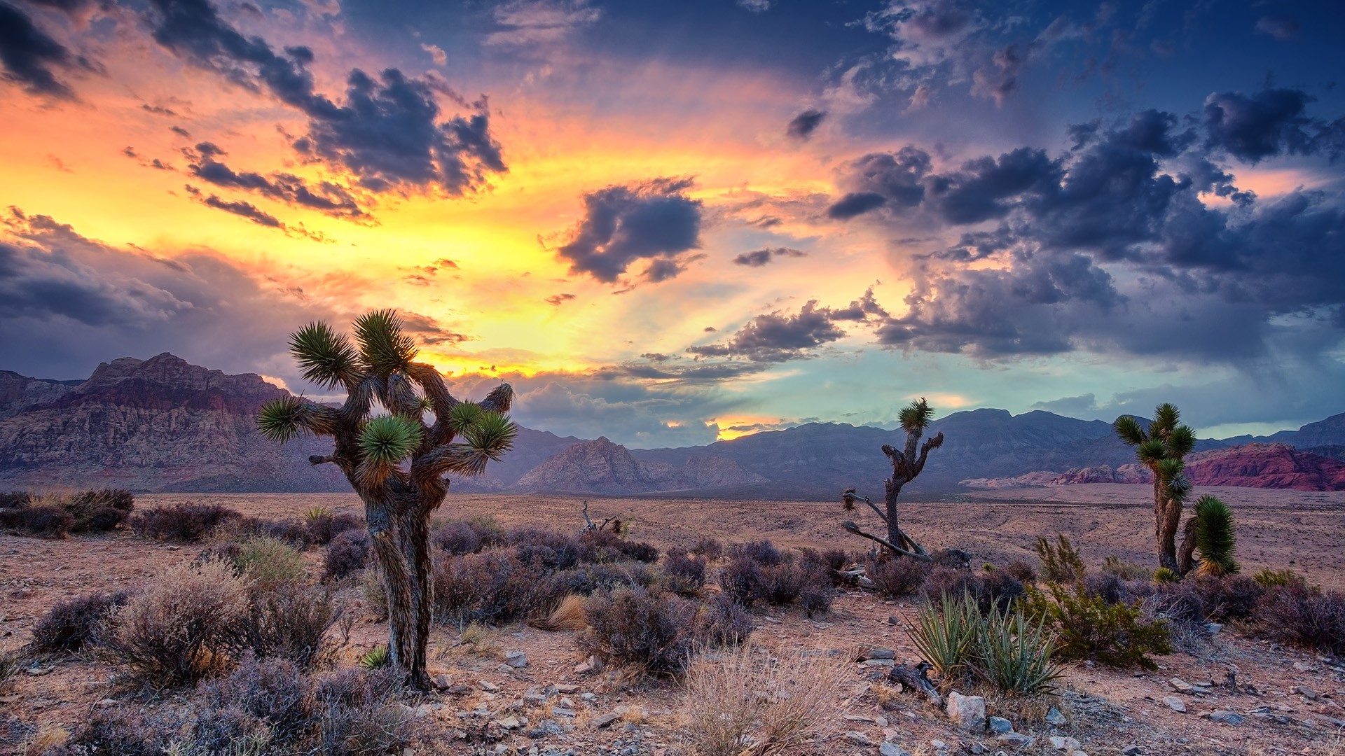 Desert monsoon, Red Rock Canyon, Las Vegas, Nevada, USA. Windows 10 Spotlight Image
