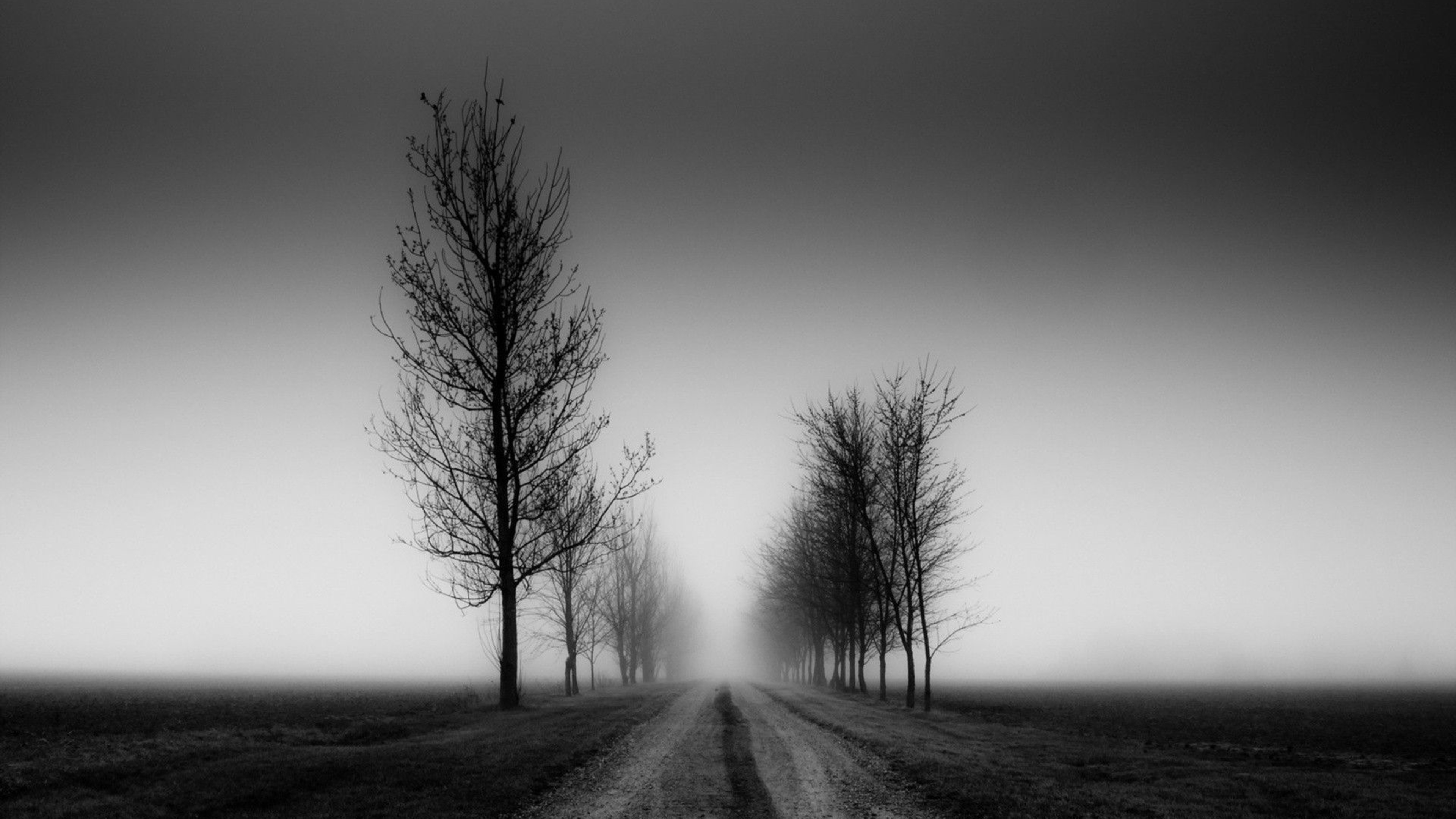 4k Black And White PC Wallpapers Wallpaper Cave 4k Black And White PC Wallpapers Wallpaper Cave