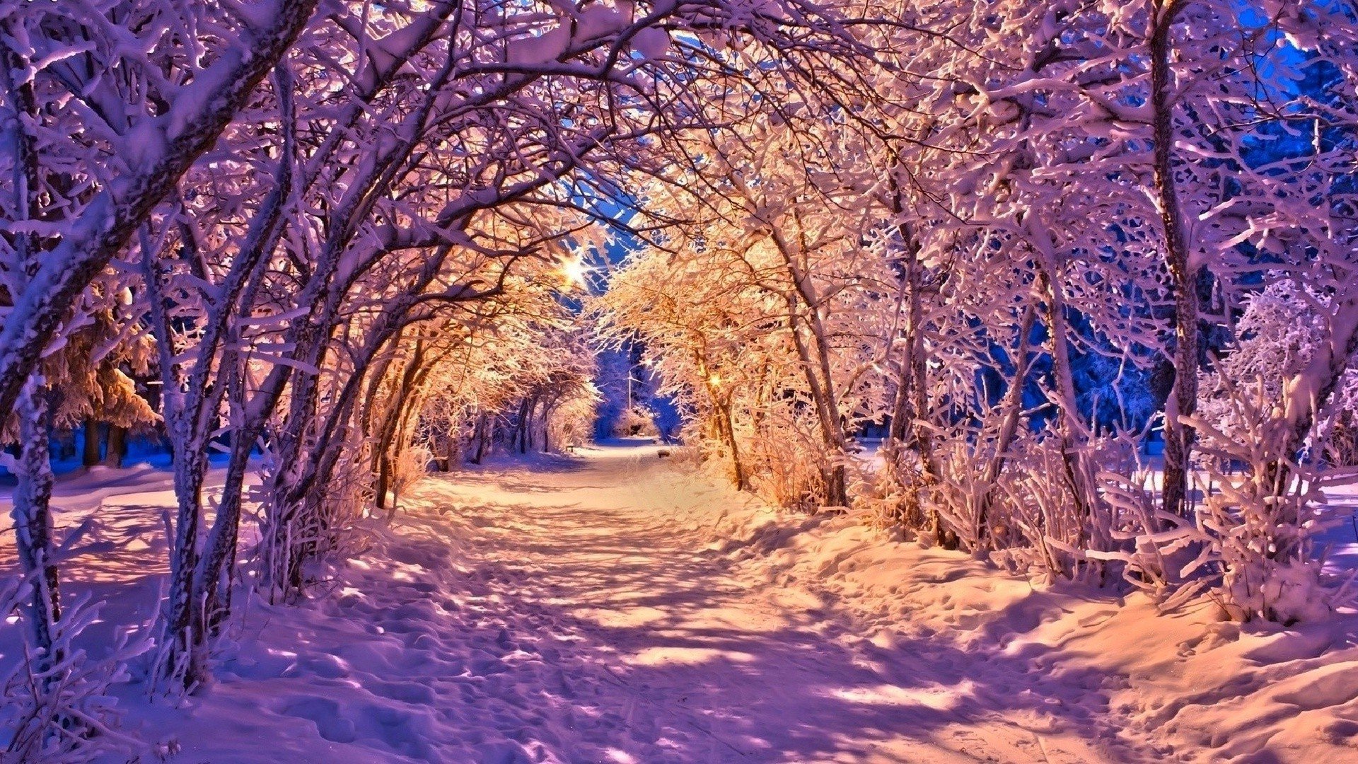 Landscape nature winter wallpaperx1080