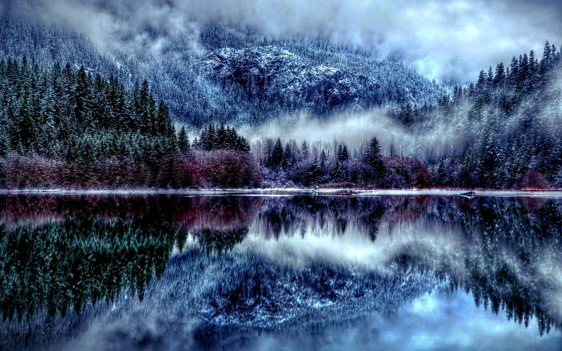 Download Aesthetic Winter Landscape Wallpaper