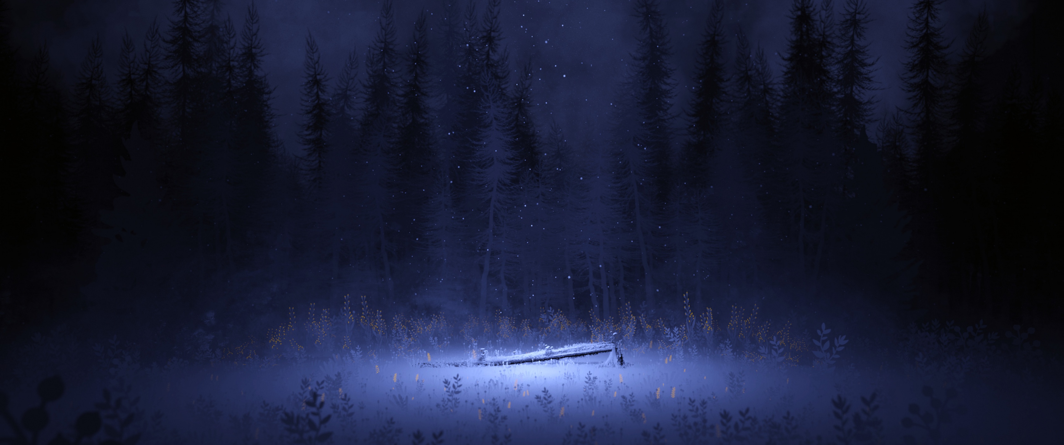 Light Wallpaper 4K, Night, Forest, Winter, Foggy, Dark, Nature