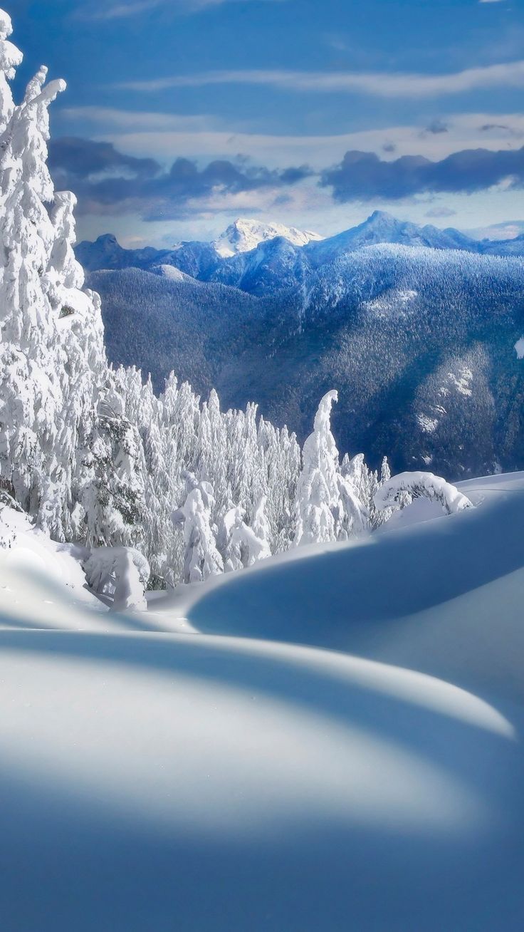 Fairy Snow Forest Field #iPhone #plus #wallpaper. Winter wallpaper, Winter landscape, Winter scenes
