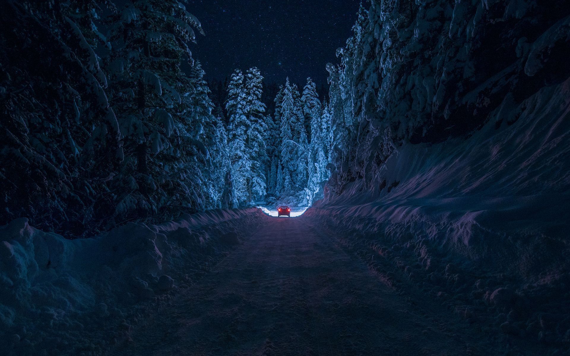 Snowy Forest at Night Wallpaper Free Snowy Forest at Night Background