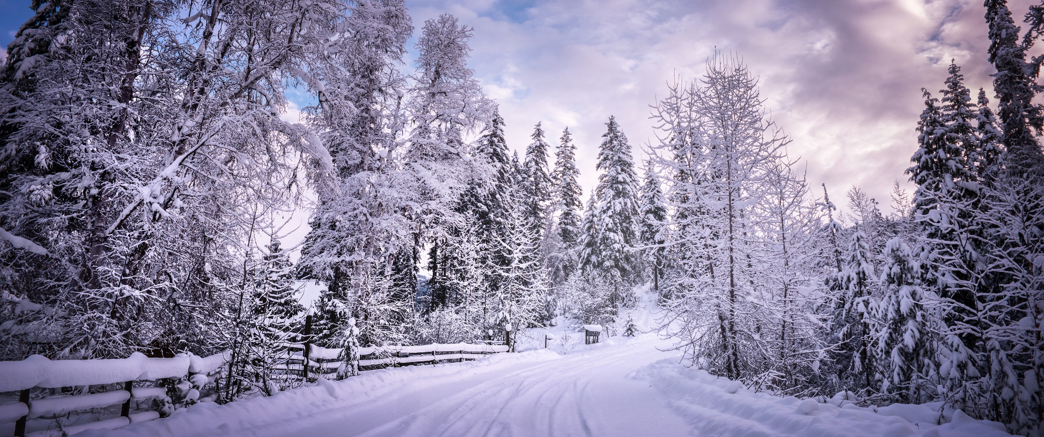 Snowy Trees Wallpaper 4K, Winter Road, Snow covered, Countryside, Woods, Nature