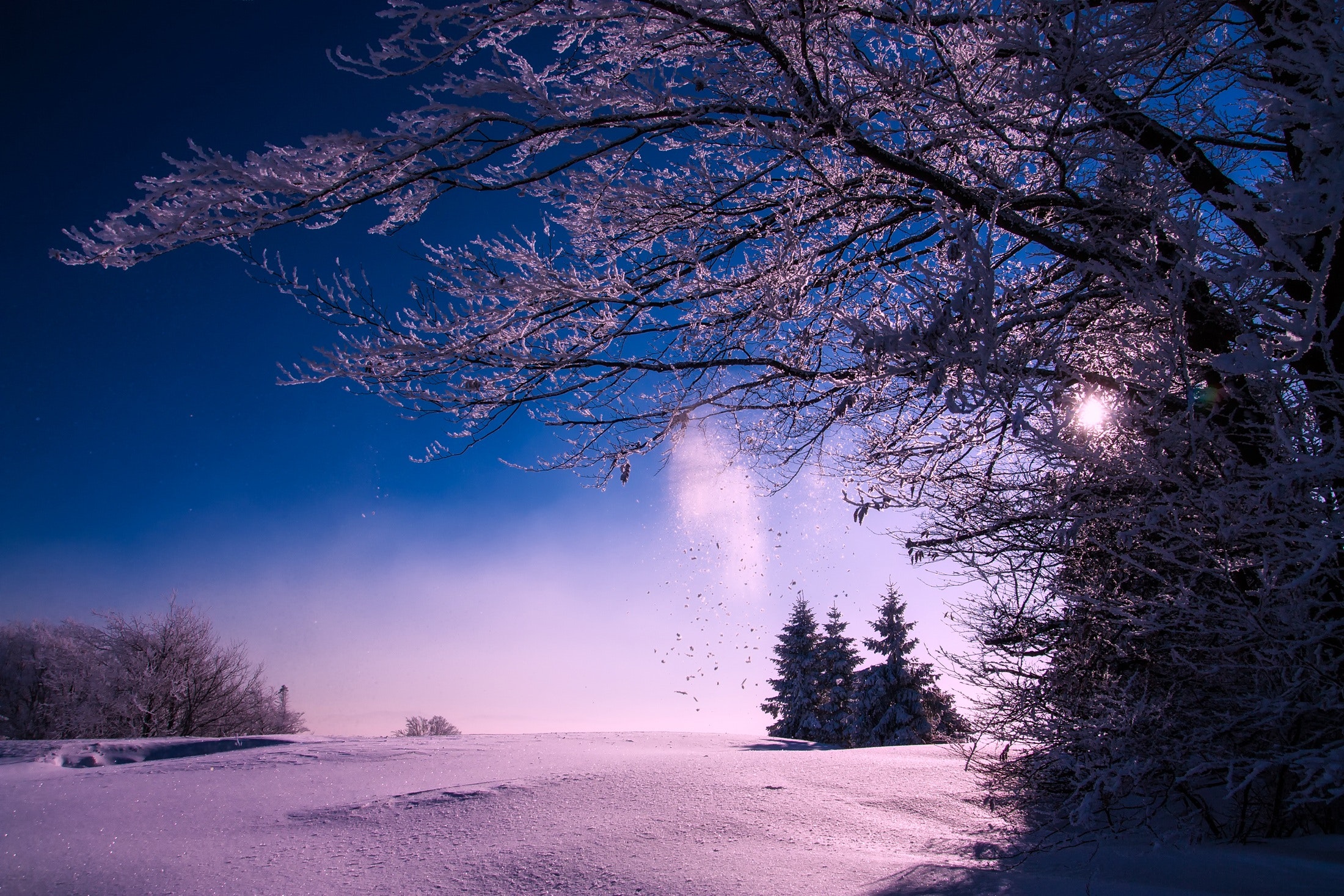 Winter Night Photo, Download Free Winter Night & HD Image