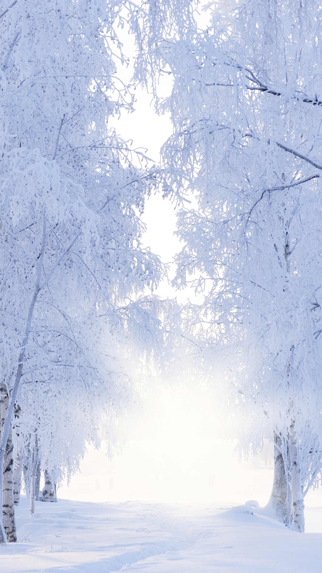 Winter iPhone 6S Plus Wallpaper​-Quality Free Image and Transparent PNG Clipart