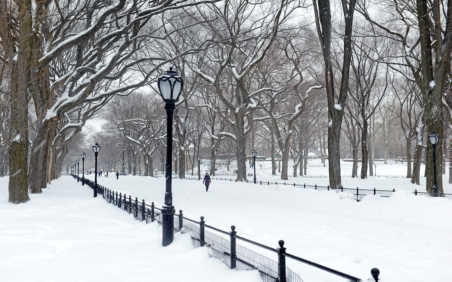 New York in winter: 9 of the best things to do in New York at Christmas
