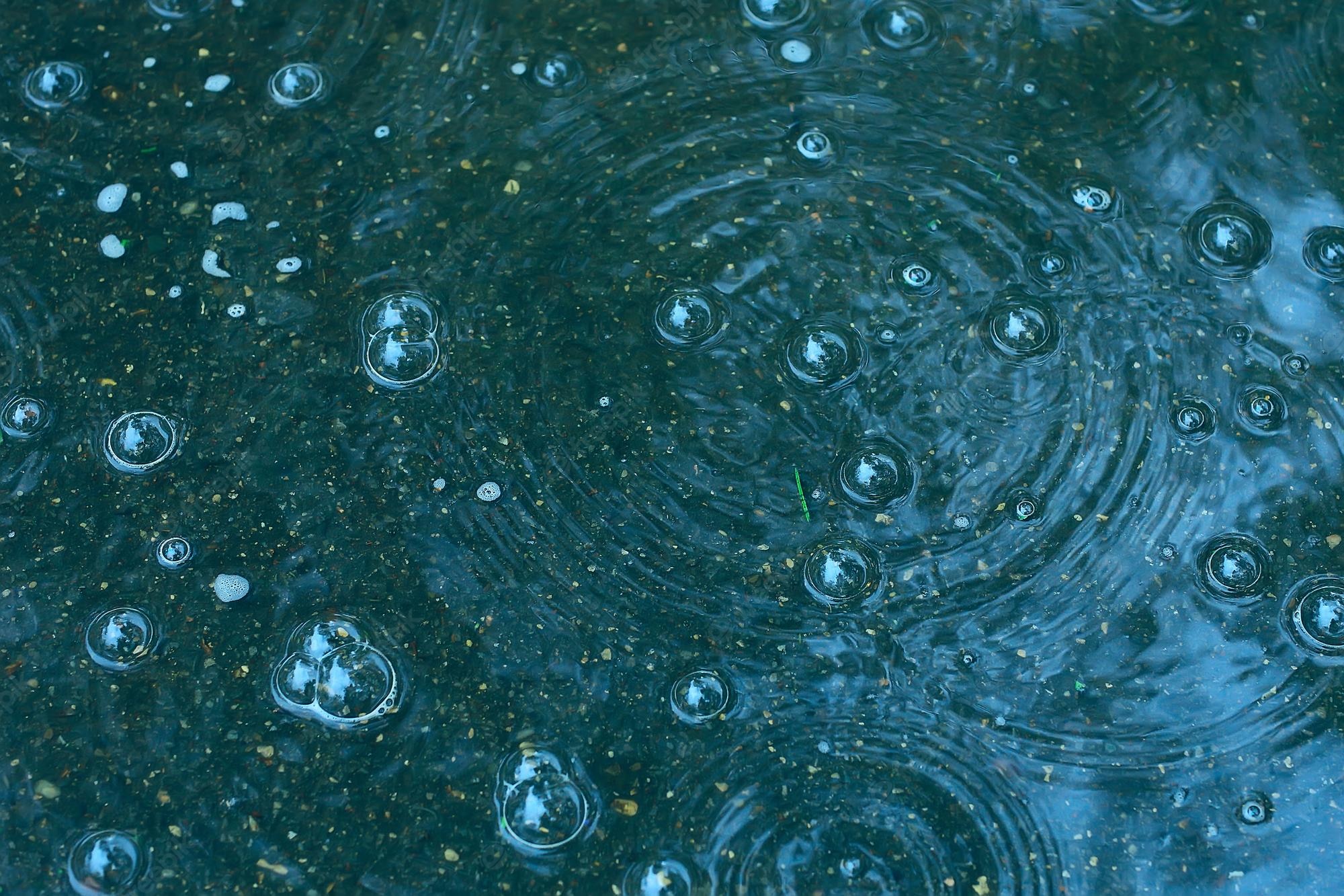 Premium Photo. Blue background puddle of rain / raindrops, circles on a puddle, bubbles in the water, the weather is autumn