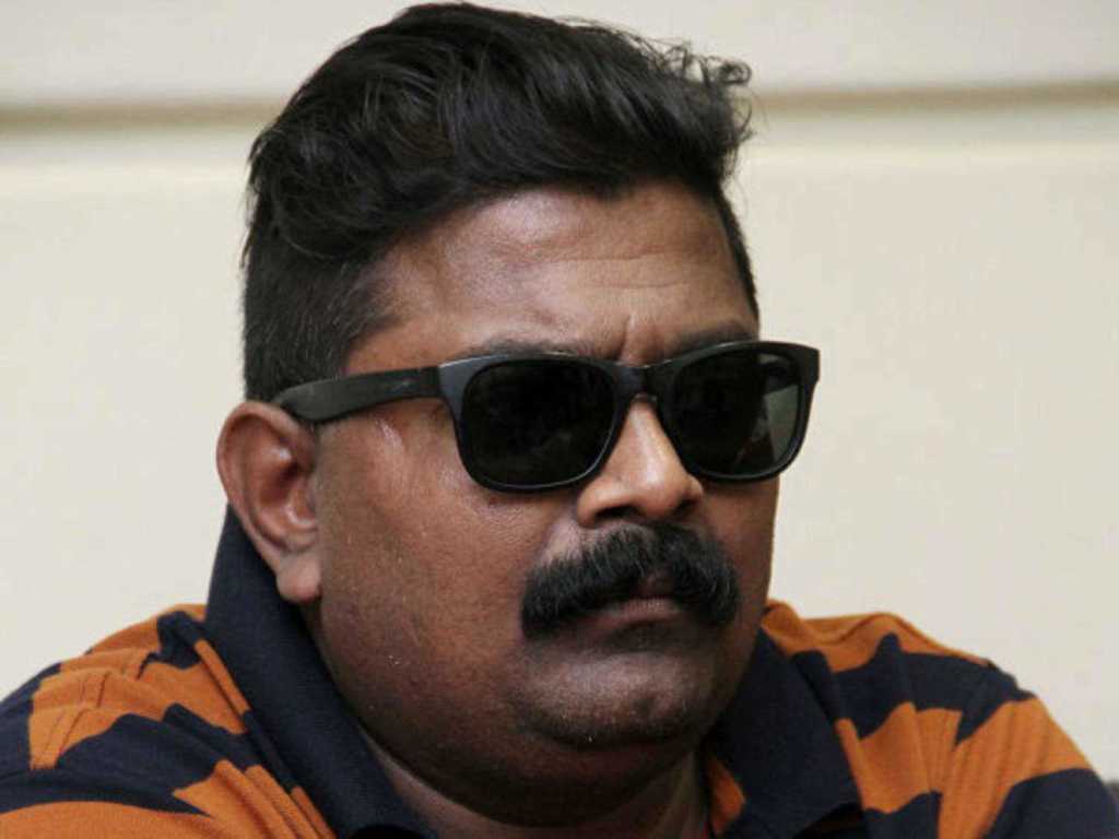 Mysskin Wallpapers Wallpaper Cave