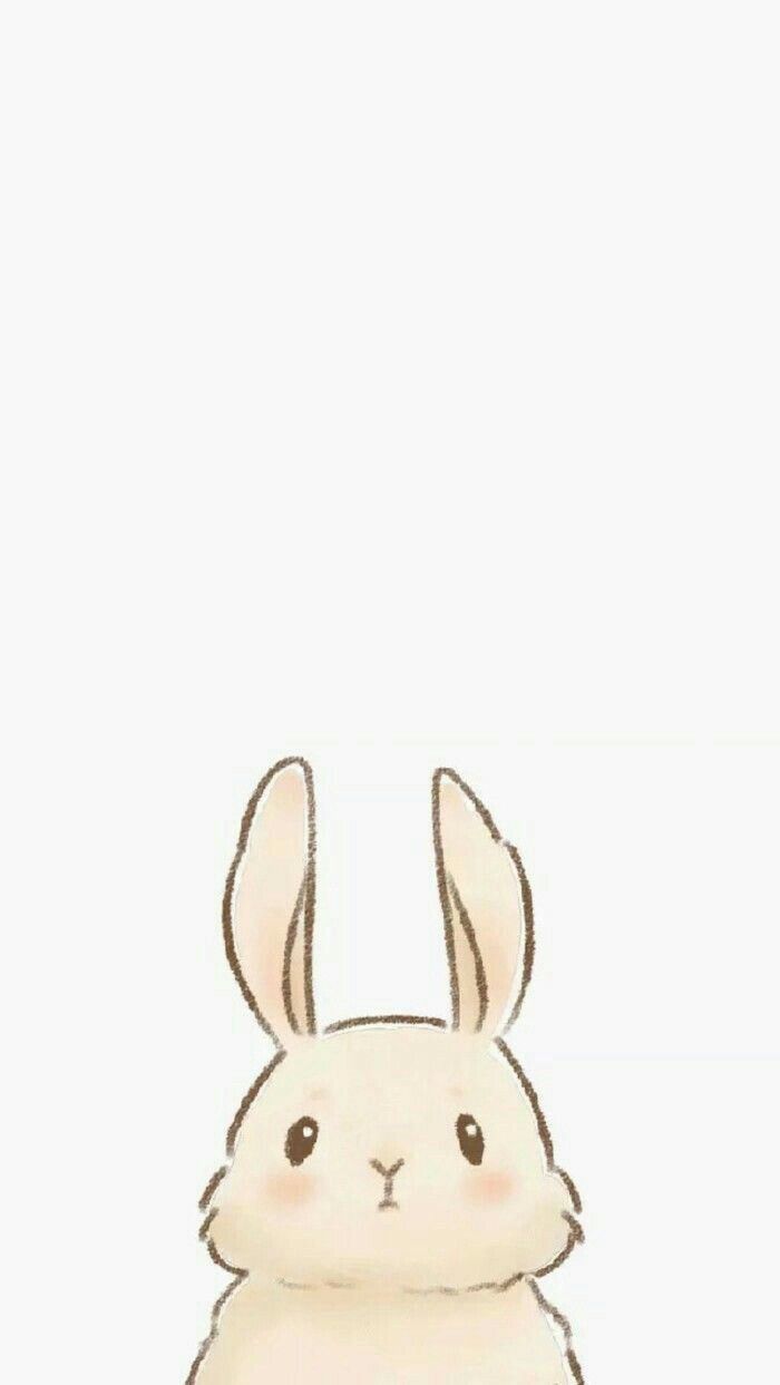 Bunny wallpaper. Cute cartoon wallpaper, Cute little drawings, Cute animal drawings