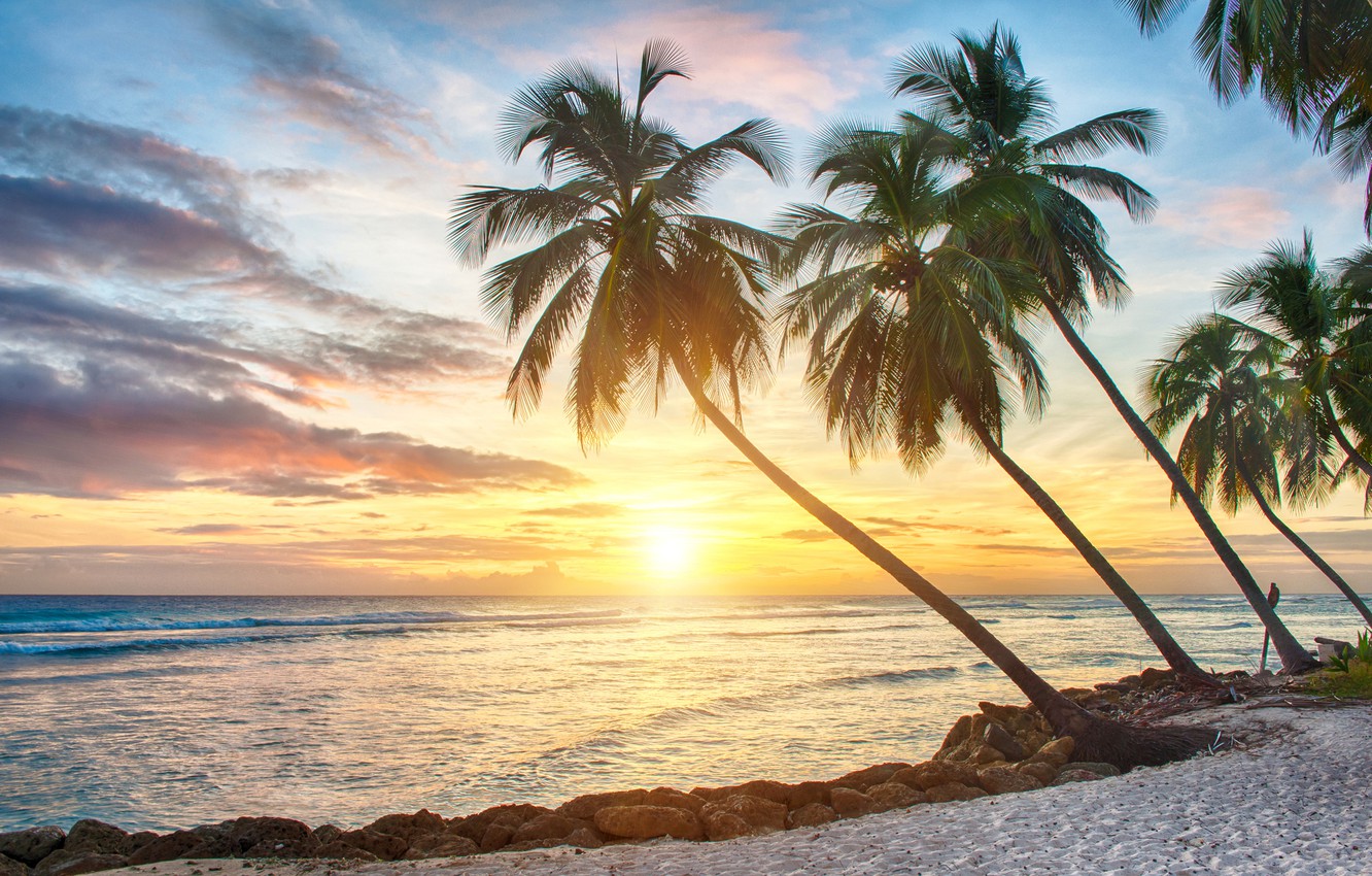 Wallpaper sand, sea, beach, sunset, tropics, palm trees, shore, beach, sea, sunset, paradise, palms, tropical image for desktop, section природа