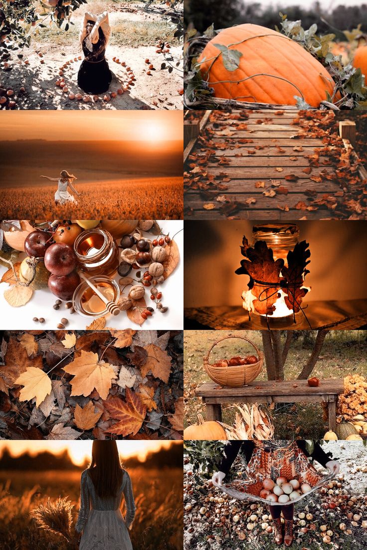 Voice of Nature, Photo. Fall wallpaper, Autumn magic, Autumn inspiration