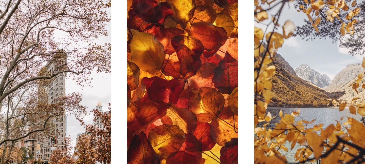 Free HD Fall Wallpaper Background For iPhone of the Snow