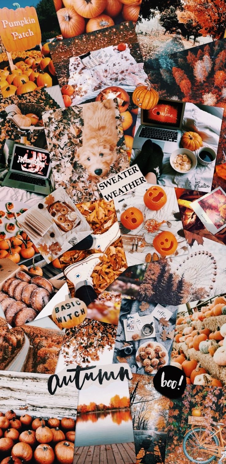Fall VSCO Collage. iPhone wallpaper fall, Halloween backrounds, Fall wallpaper