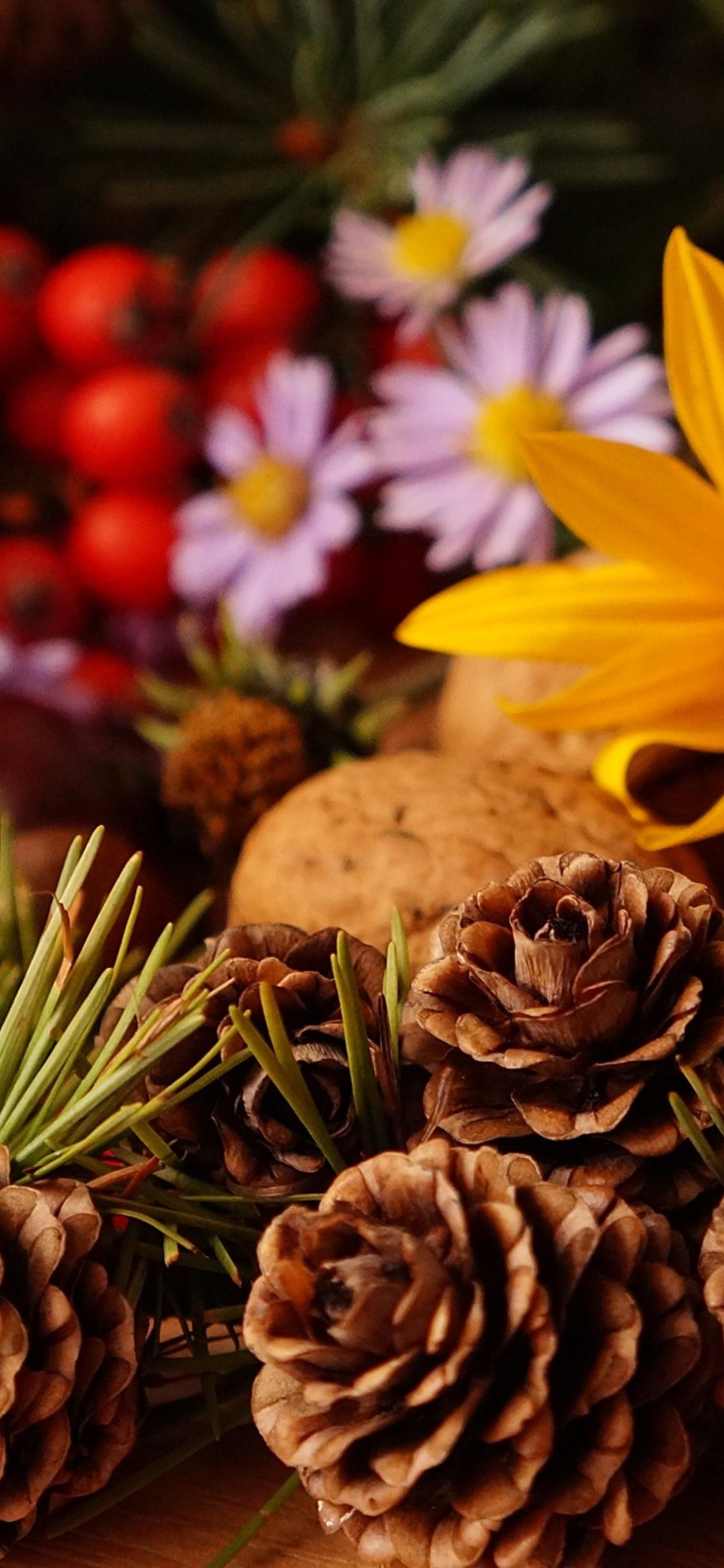 Autumn Pinecones Wallpapers - Wallpaper Cave