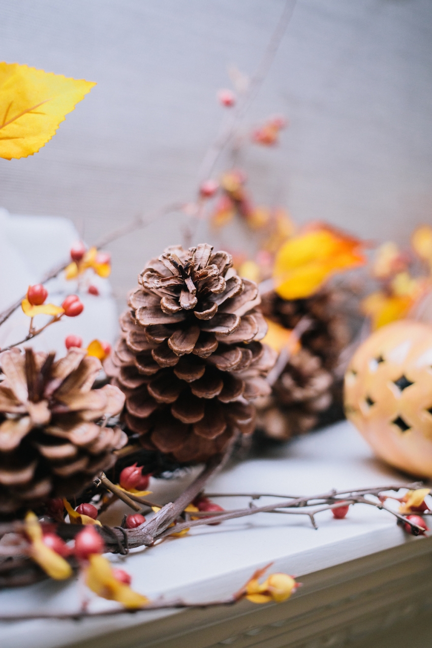 Autumn Pinecones Wallpapers - Wallpaper Cave