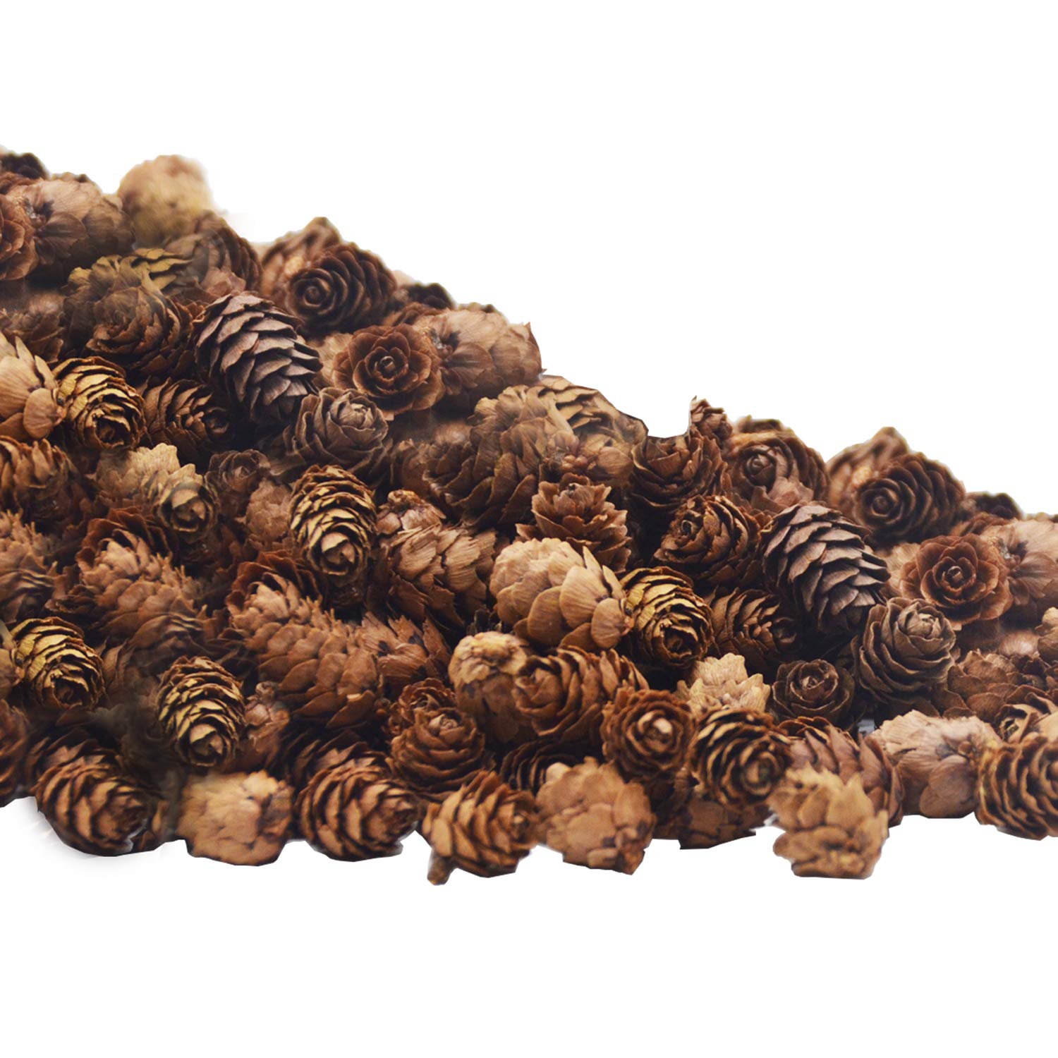 Autumn Pinecones Wallpapers - Wallpaper Cave