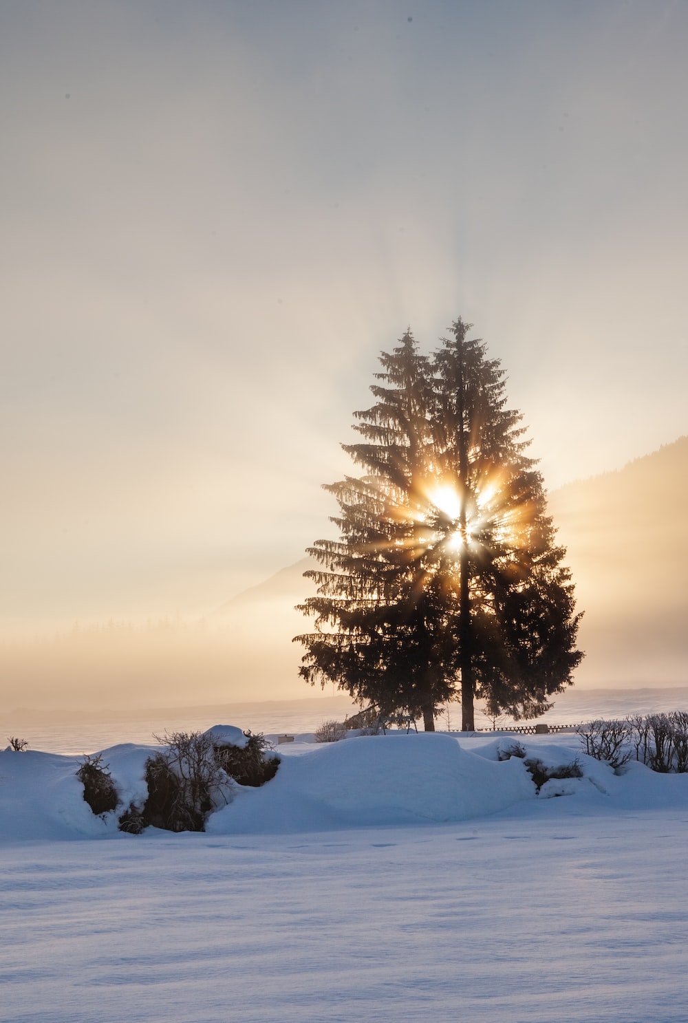 Winter Sun Picture. Download Free Image