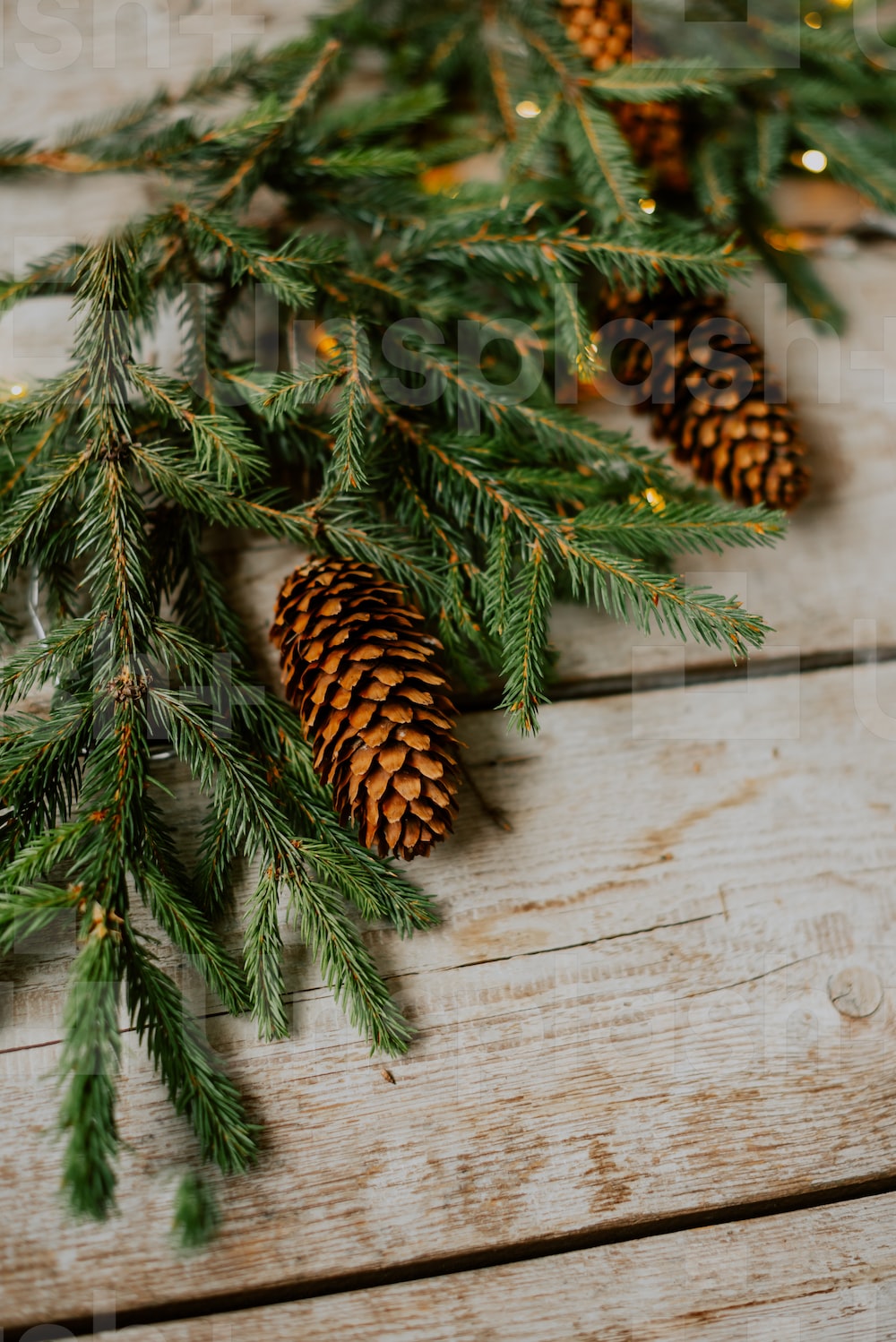 Autumn Pinecones Wallpapers - Wallpaper Cave