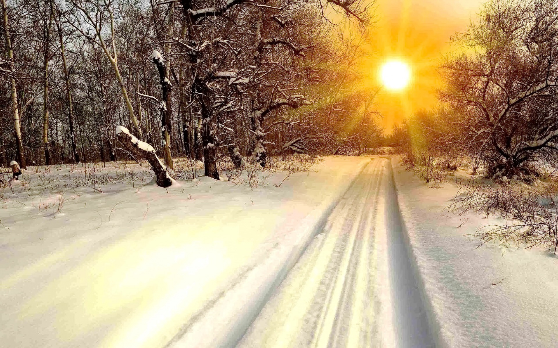 Winter Sun desktop PC and Mac wallpaper