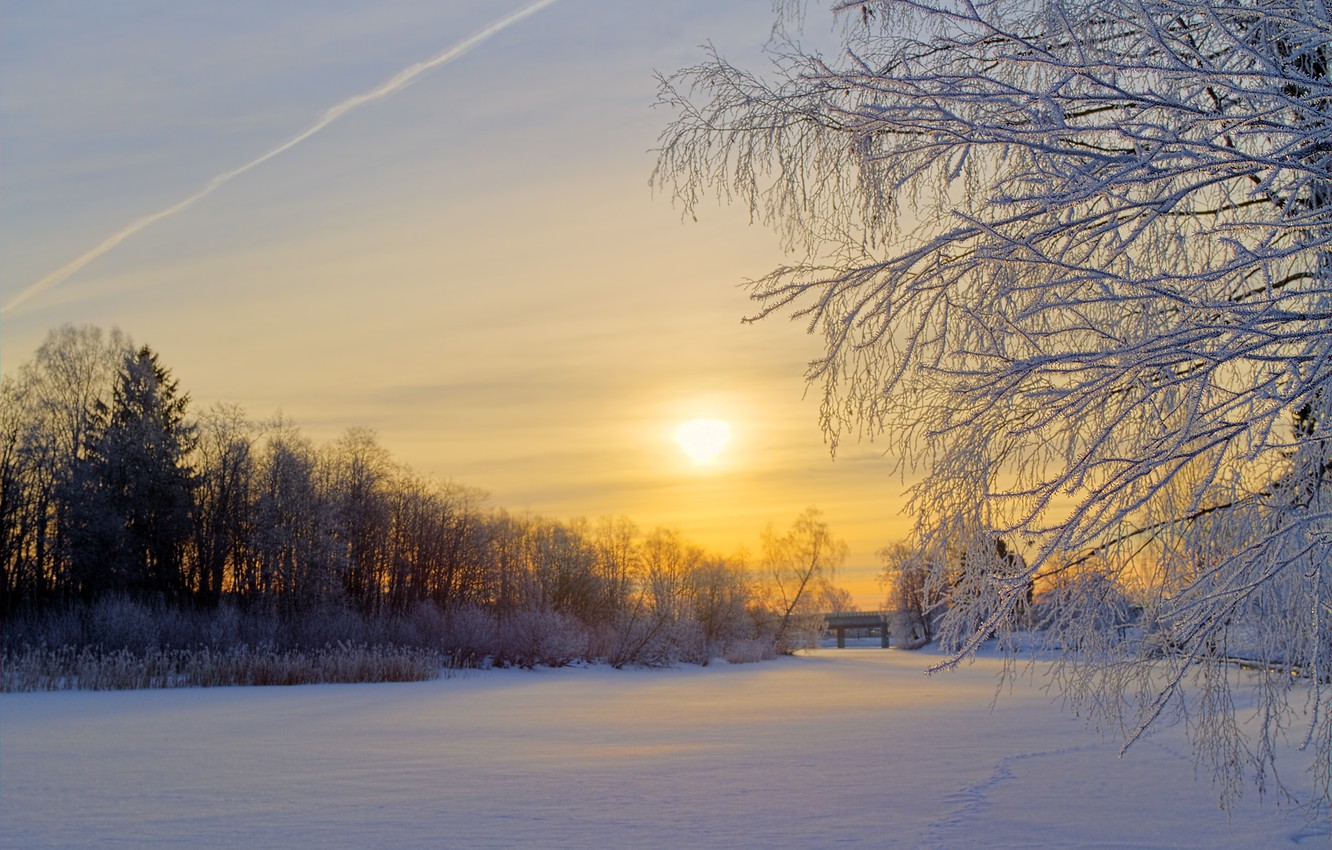 Wallpaper winter, frost, forest, the sun, snow, trees, sunrise, glade, morning, Sweden image for desktop, section природа