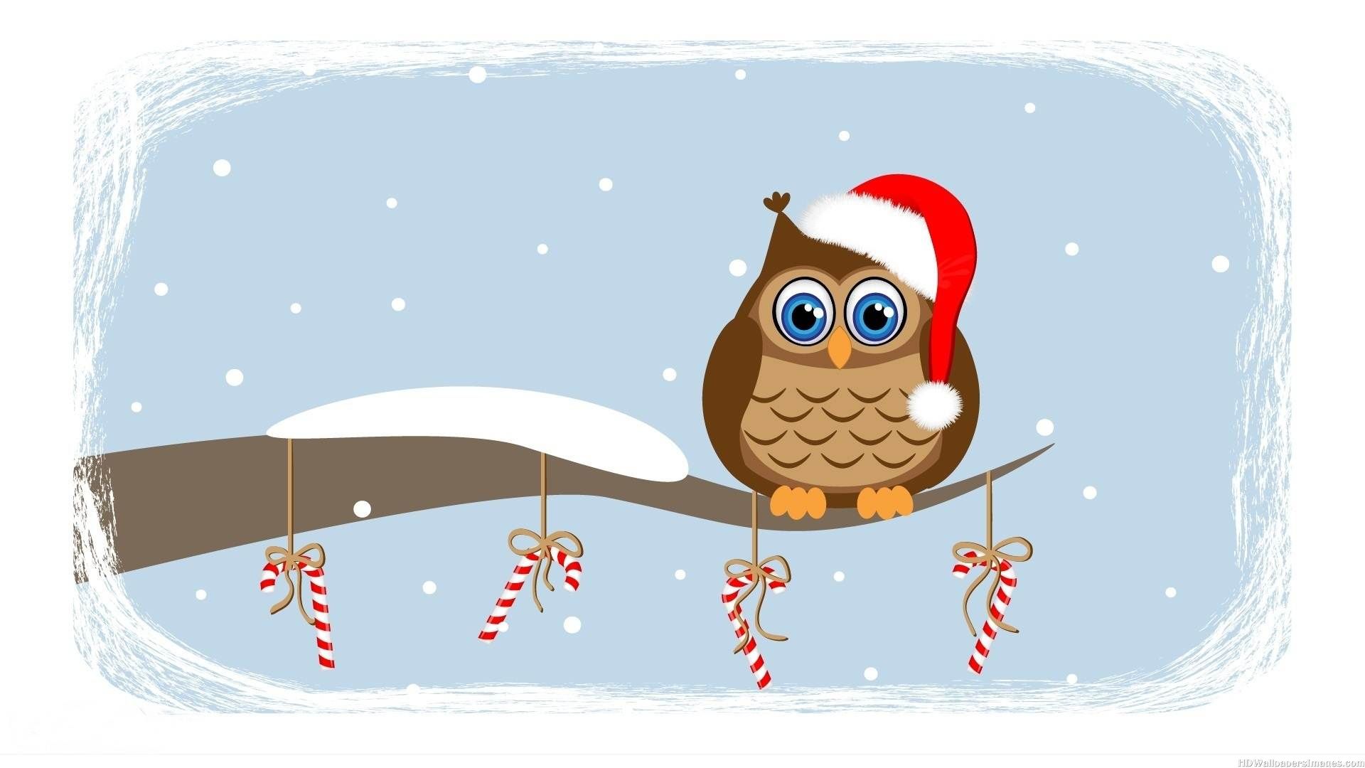 cute christmas owl background