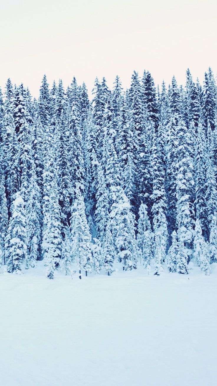 Adventurous Forest & Mountain iPhone 7 Wallpaper. Preppy Wallpaper. iPhone 7 wallpaper, Nature iphone wallpaper, Original iphone wallpaper