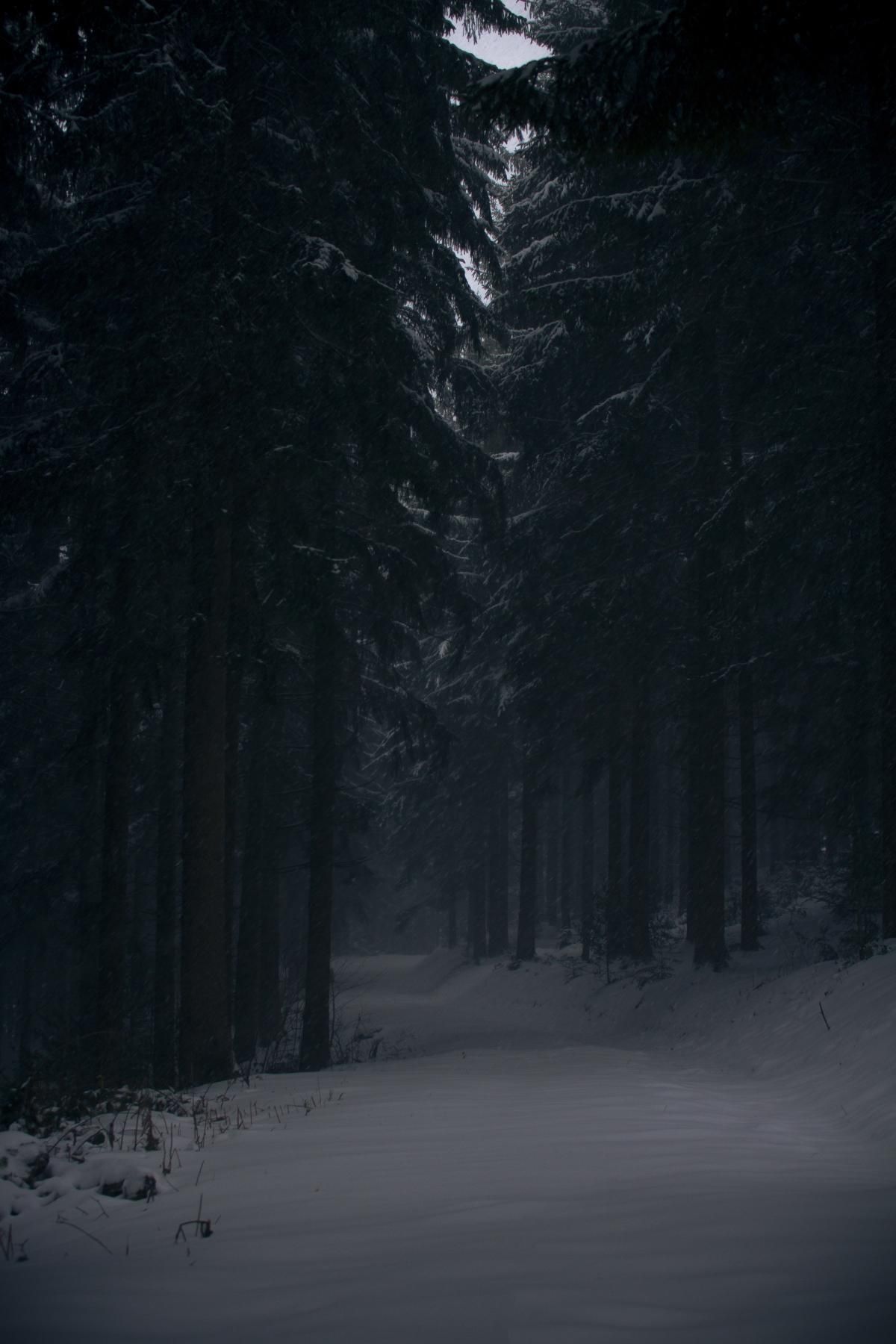 Image From Awesome High Res Wallpaper, Perfect For Your Galaxy S9, Pixel 2 XL, IPhone X, Huawei P20 Pro. Dark Picture, Dark Forest Aesthetic, Dark Aesthetic