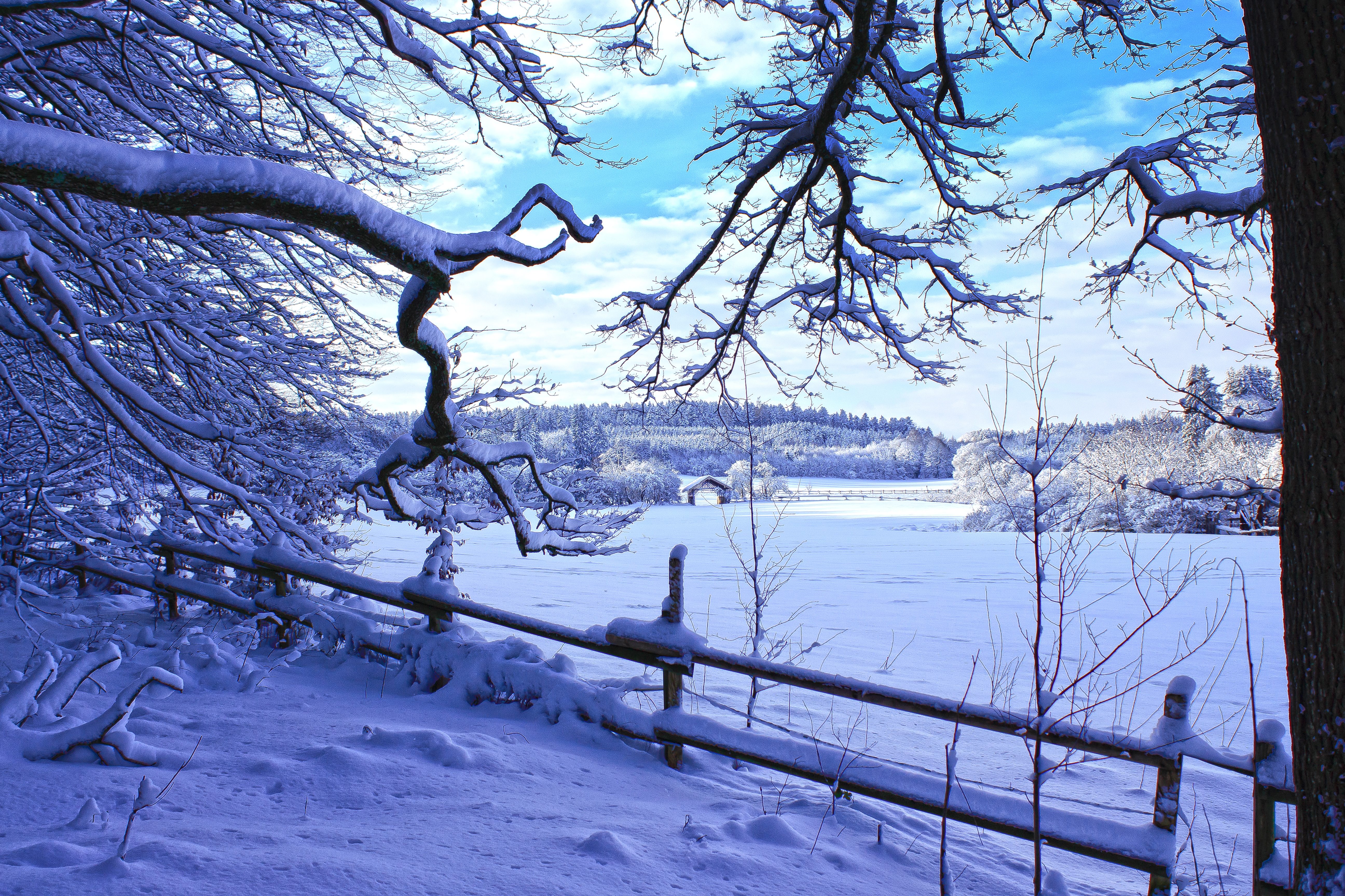 Download Winter Landscape wallpaper for mobile phone, free Winter Landscape HD picture